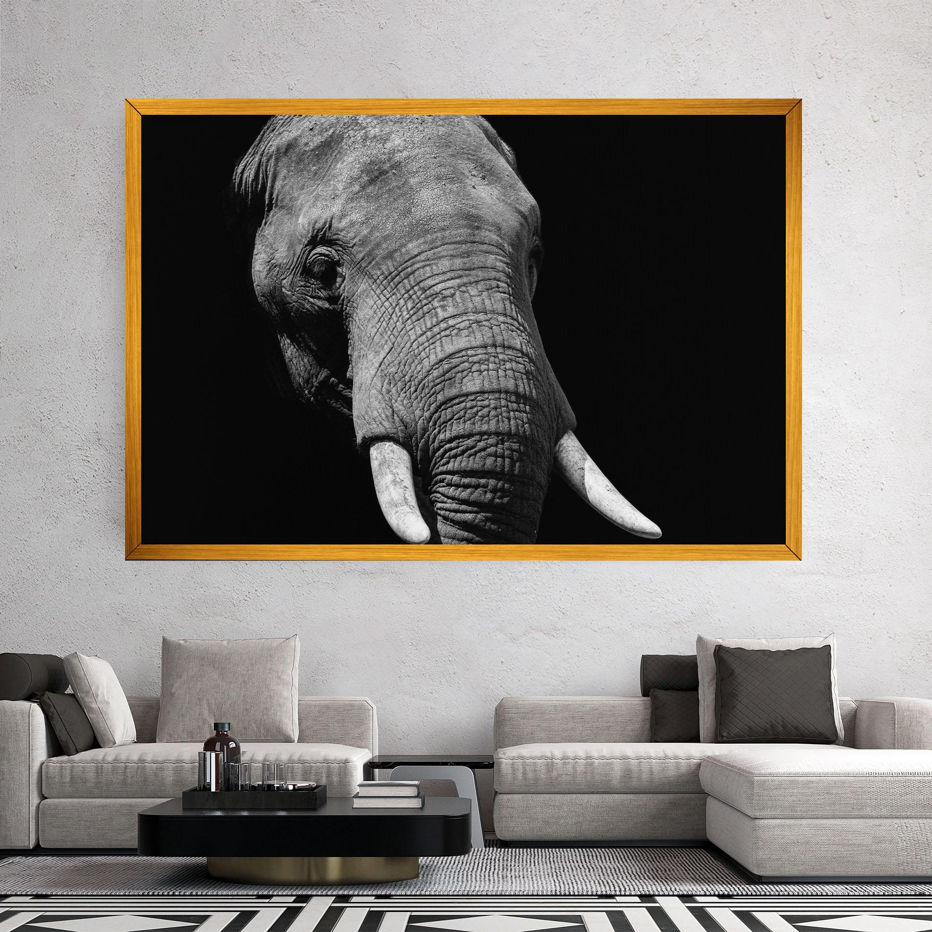 Vászonkép Shadow Elephant mockup 2