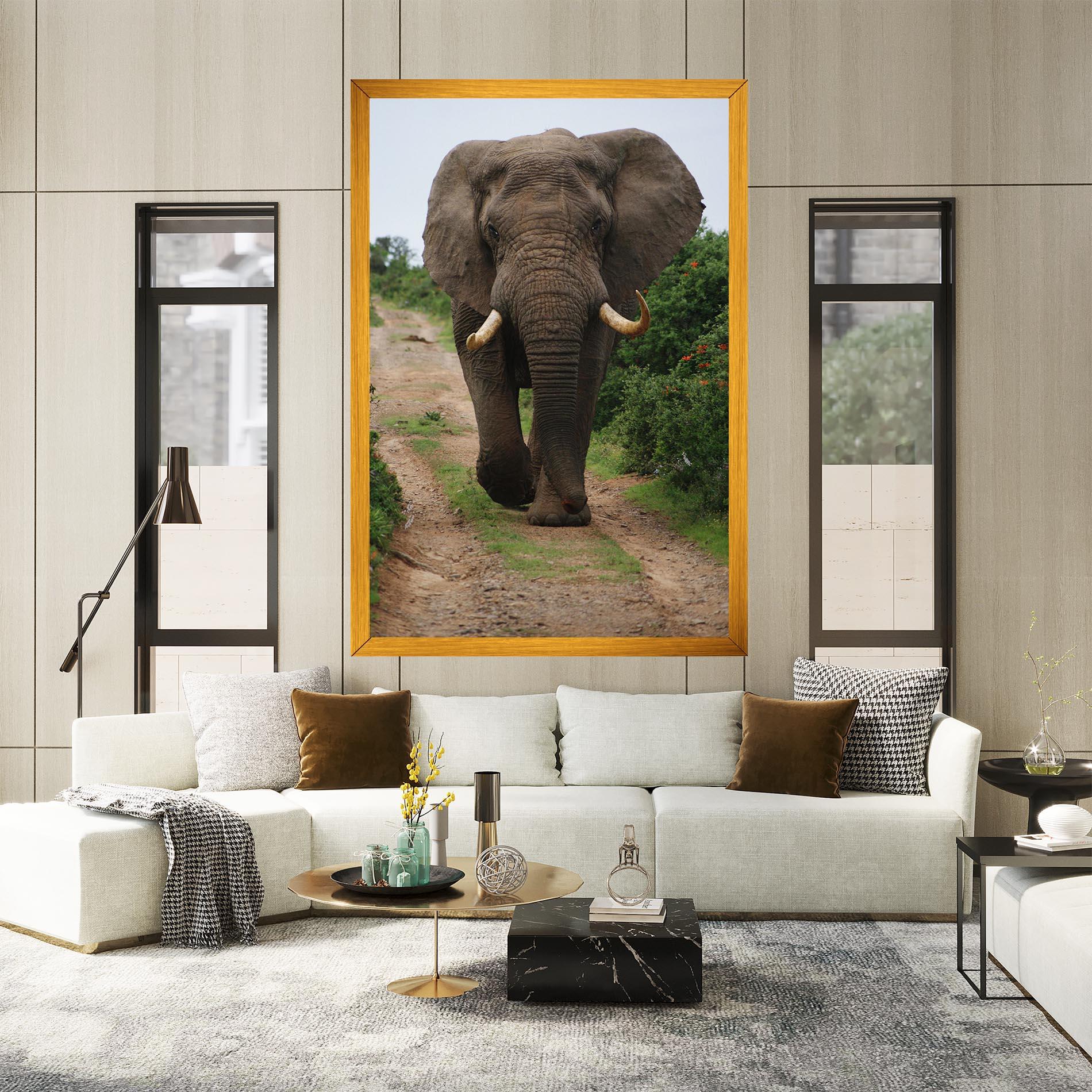 Vászonkép Elephant Safari mockup 2