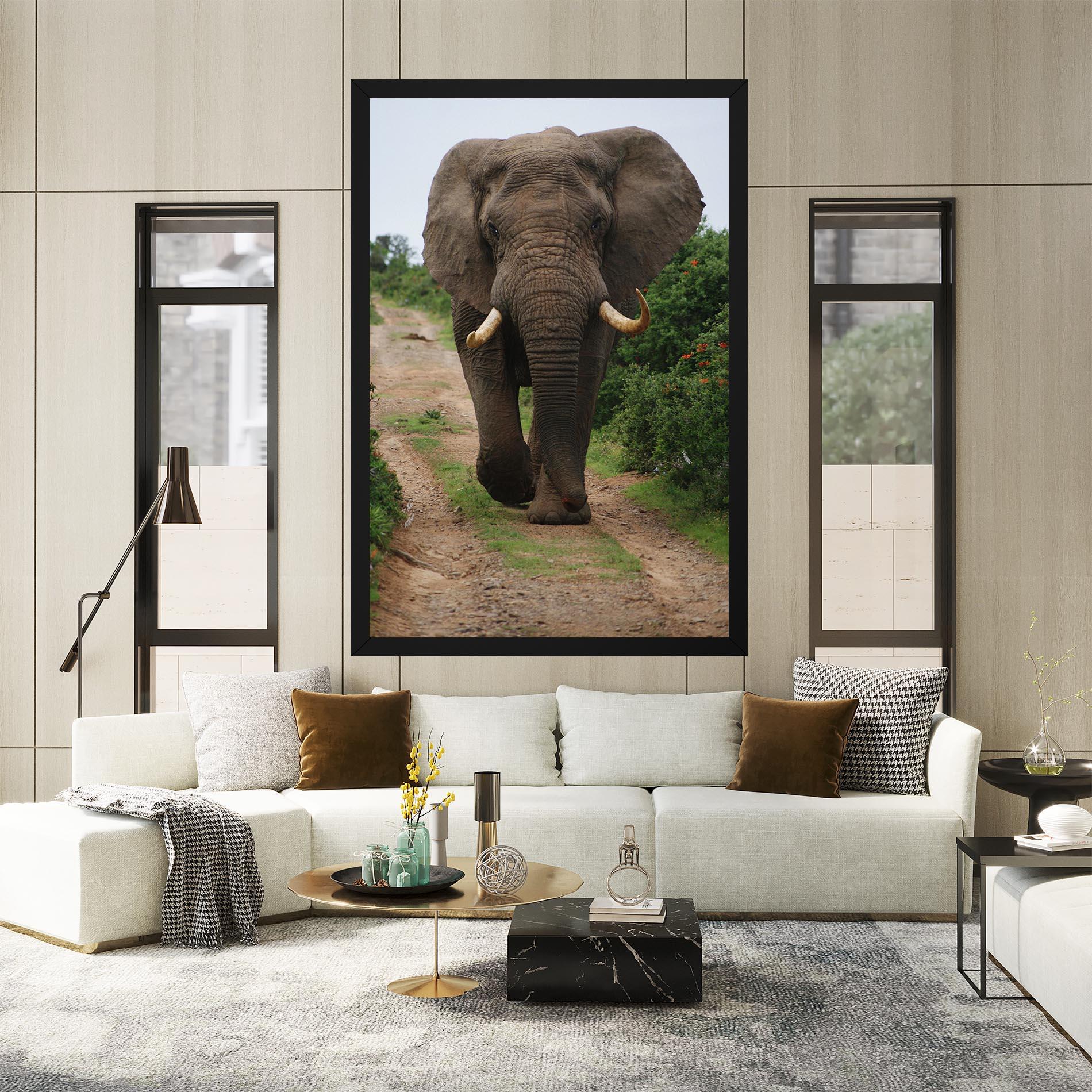 Vászonkép Elephant Safari mockup 2