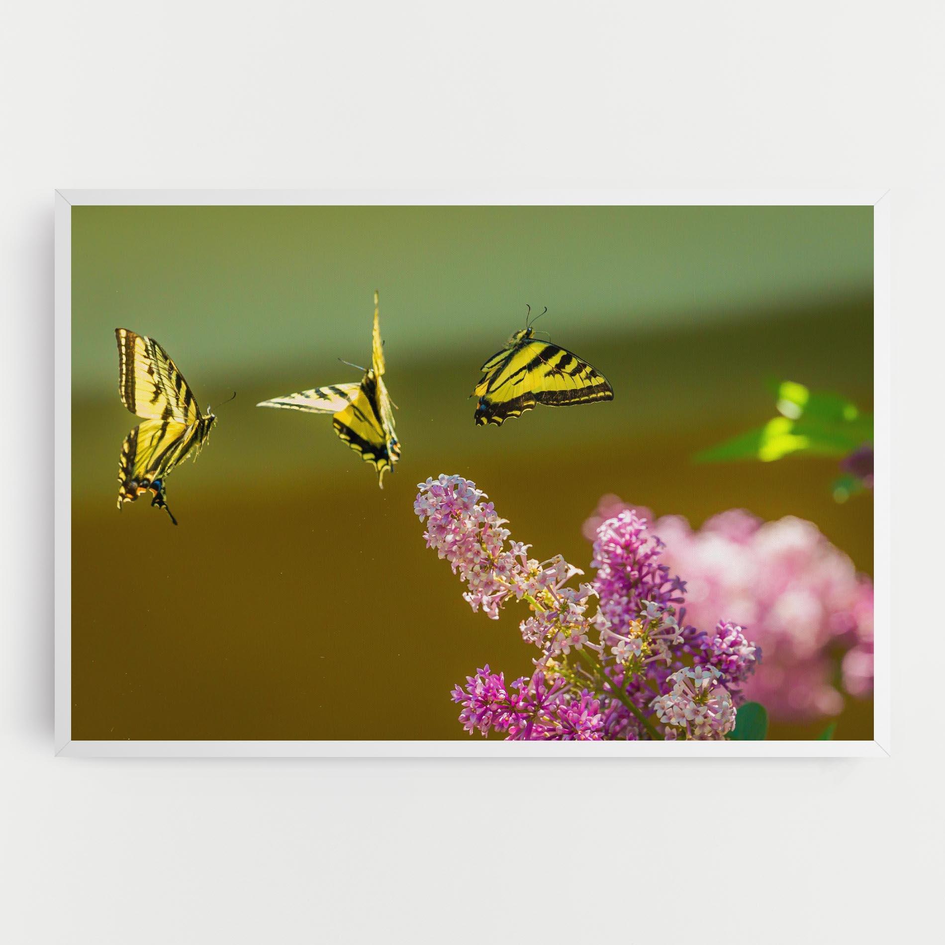 Vászonkép 3 Yellow Butterflies mockup 0