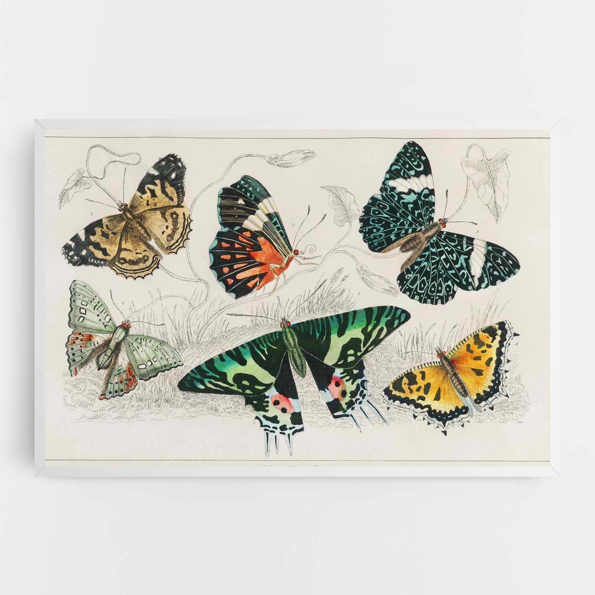 Vászonkép Butterfly Art mockup 0