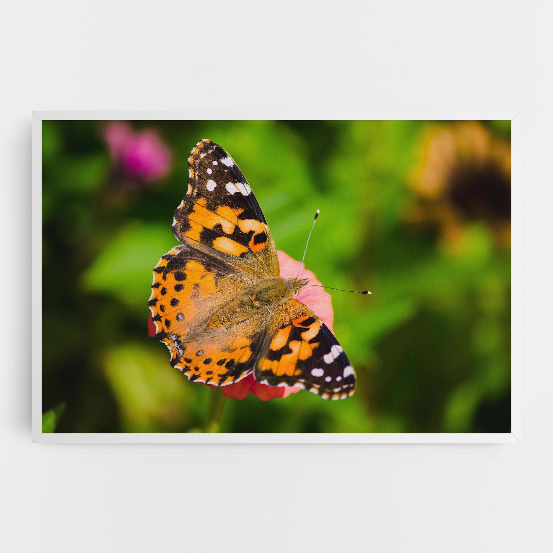 Vászonkép Butterfly On Flower mockup 0