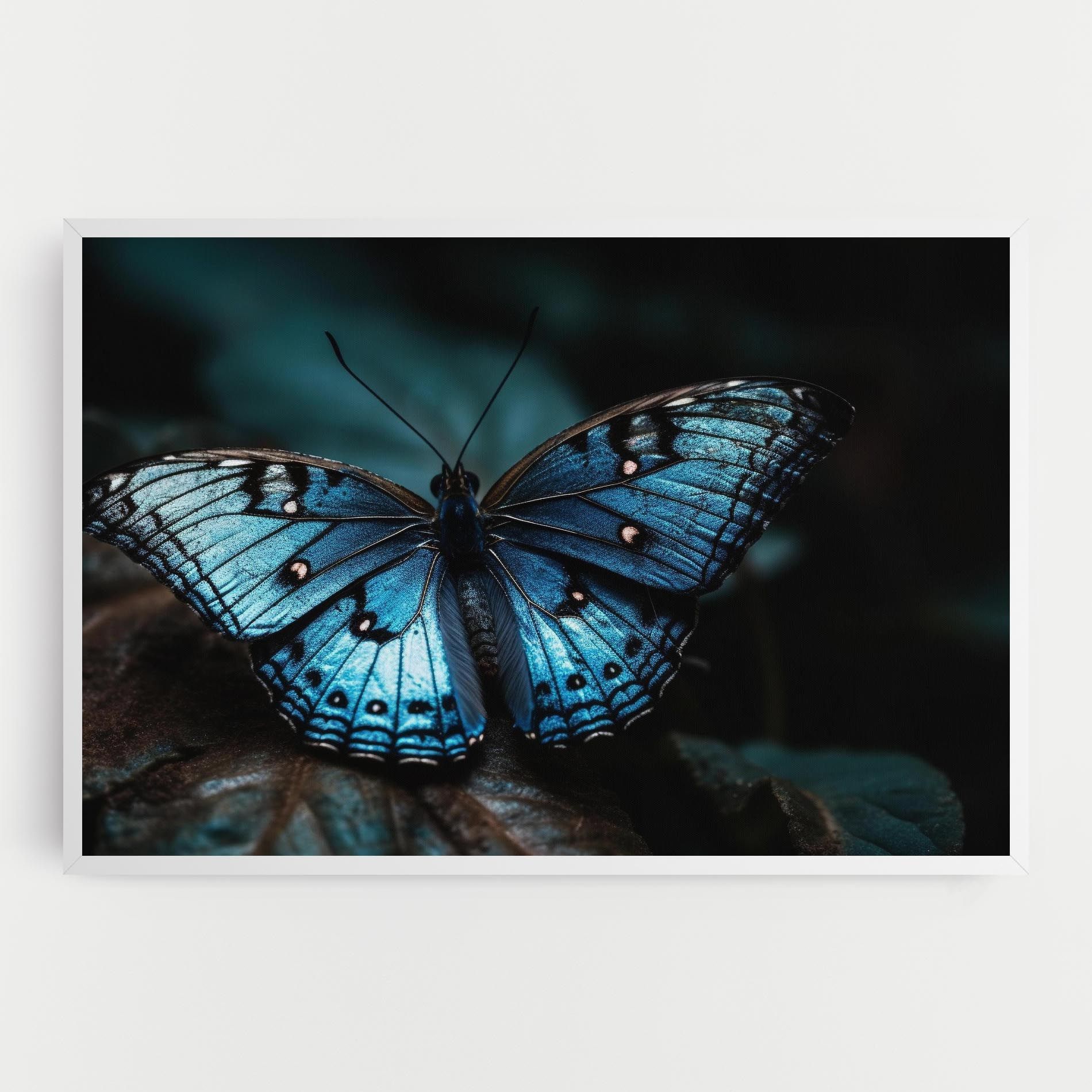 Dark Blue Buterfly mockup 0