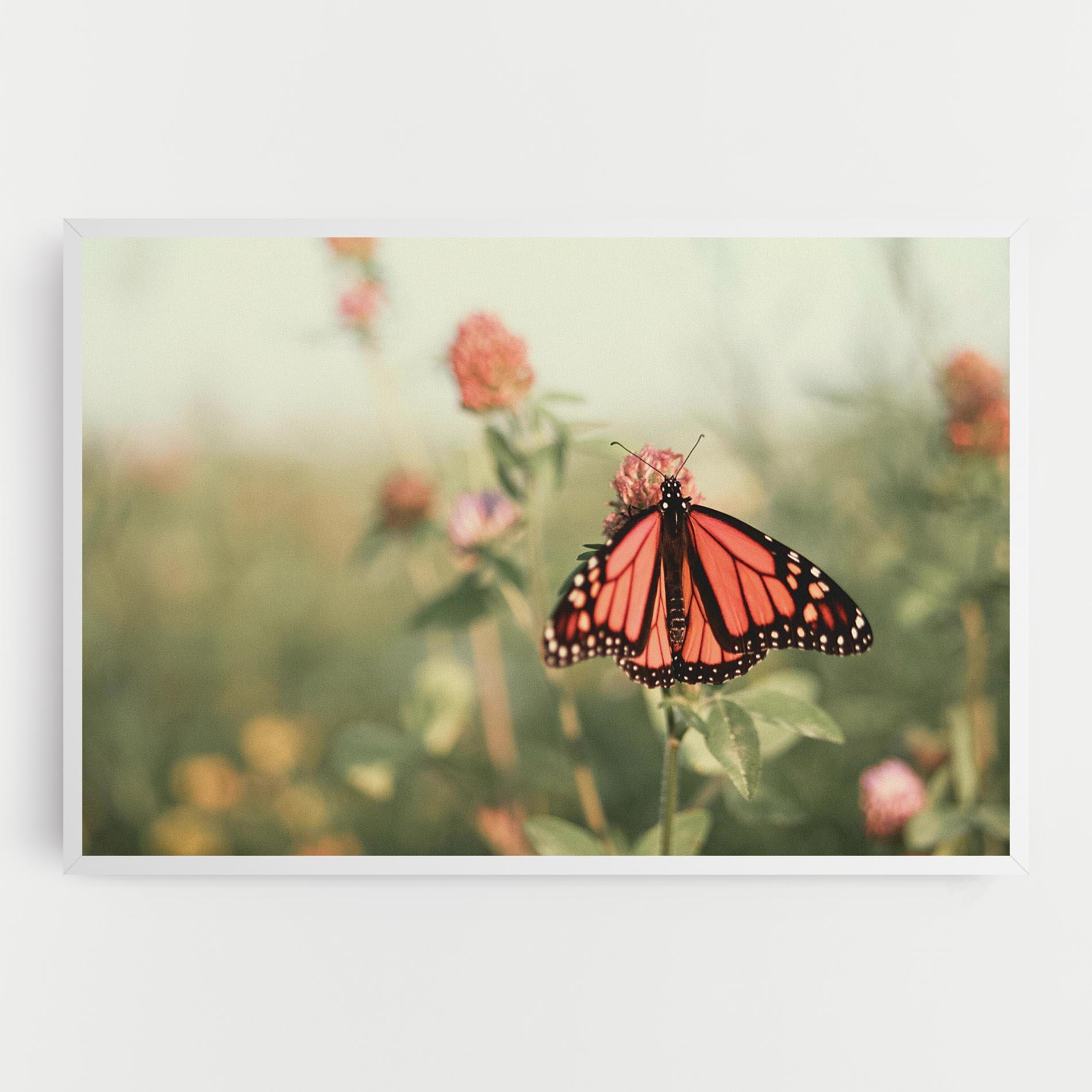 Vászonkép Light Red Butterfly mockup 0