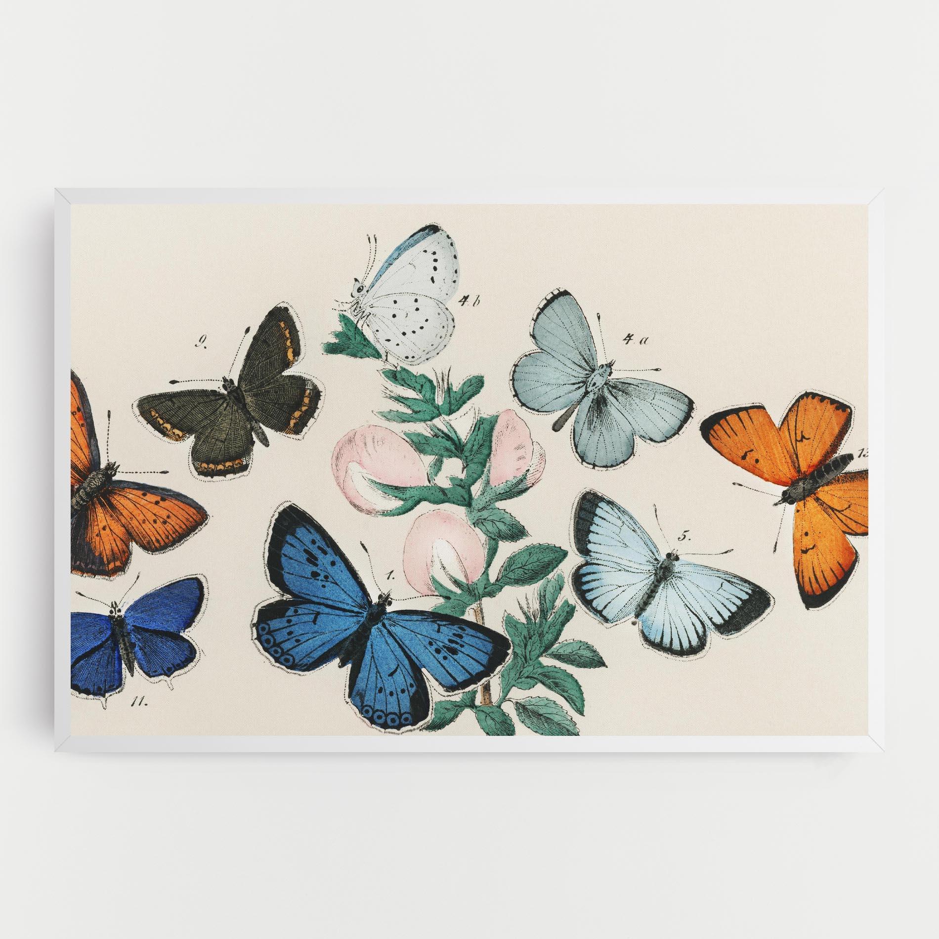 Vászonkép Moving Butterflies mockup 0