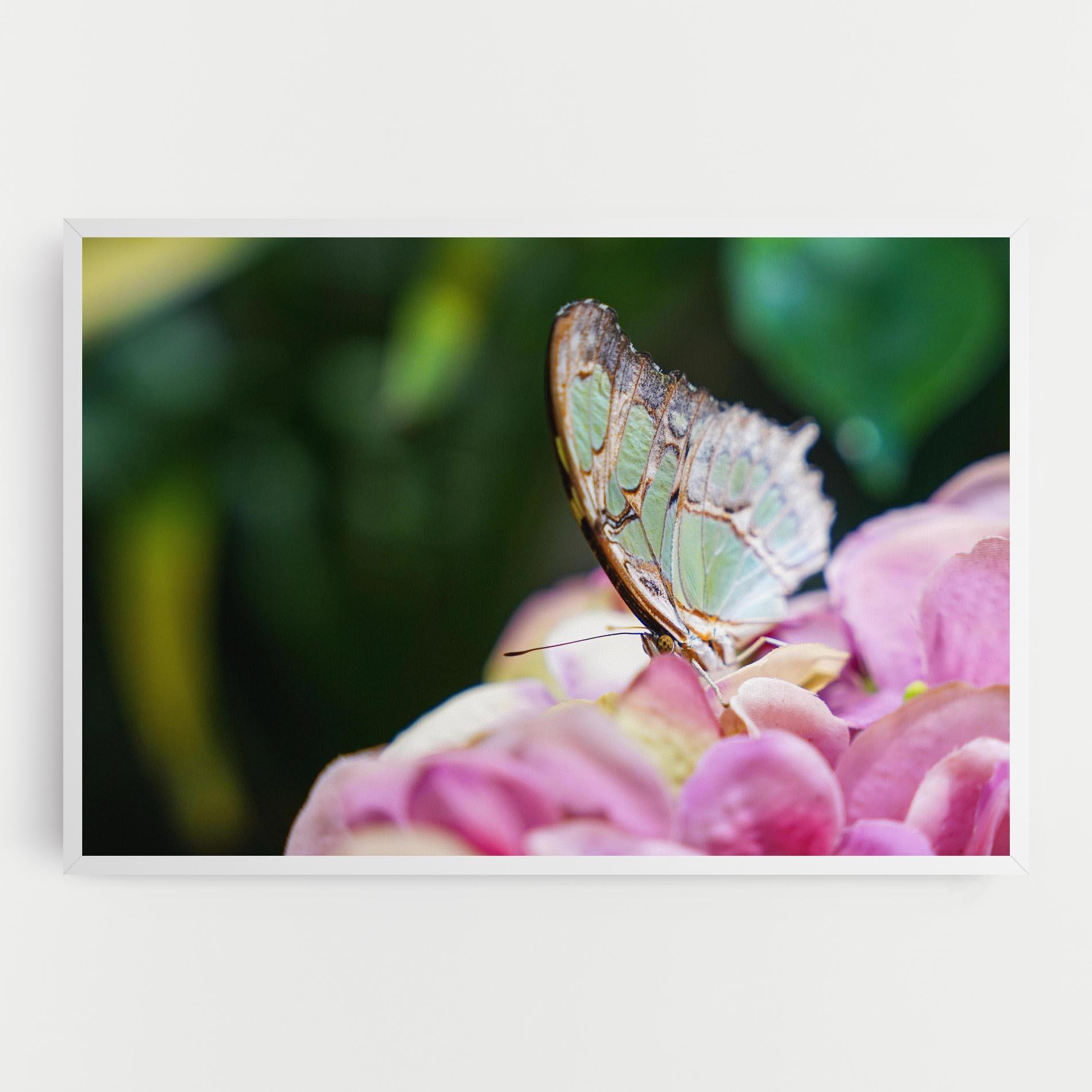 Vászonkép Nazrin Babashova DiUUmQMFWys Unsplash mockup 0