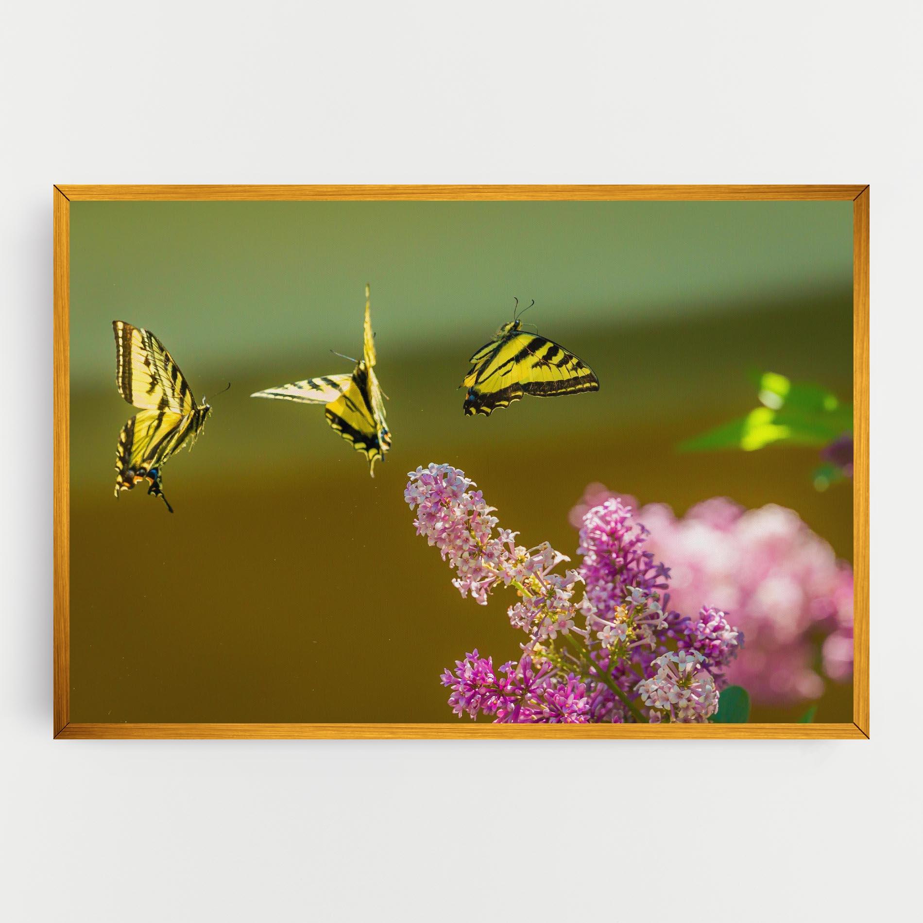 Vászonkép 3 Yellow Butterflies mockup 0