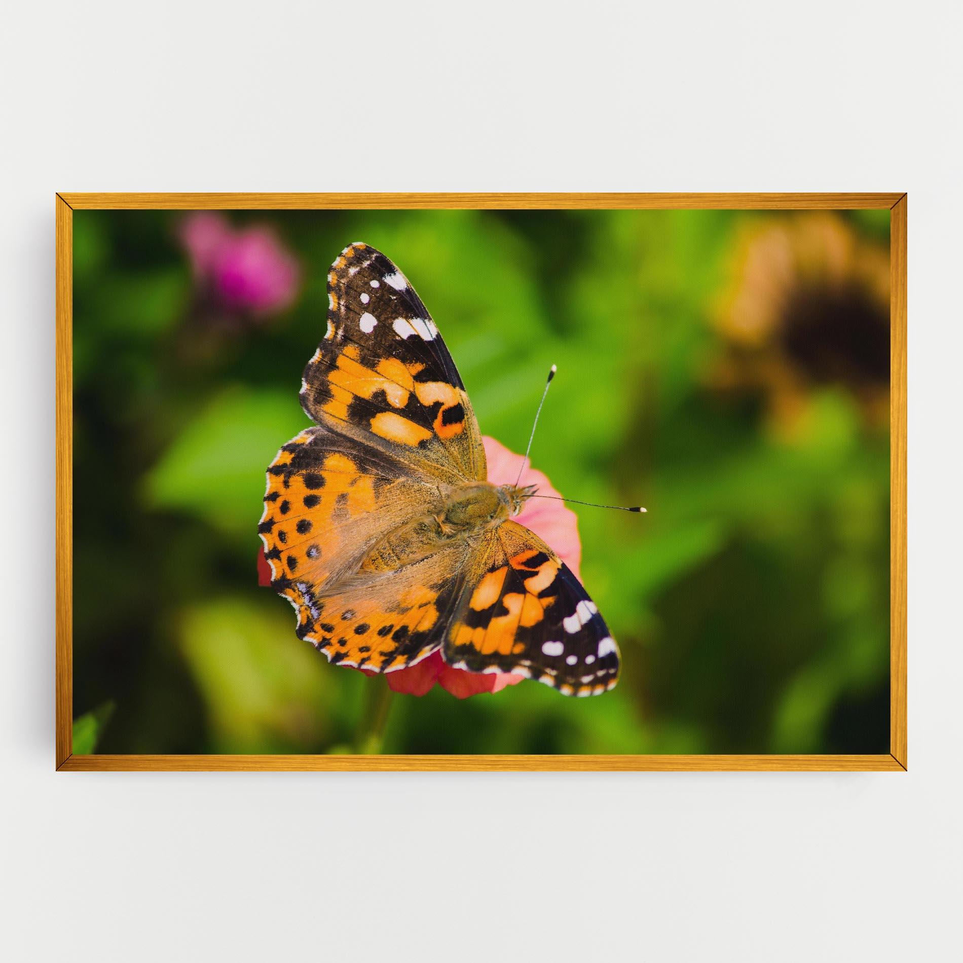 Vászonkép Butterfly On Flower mockup 0