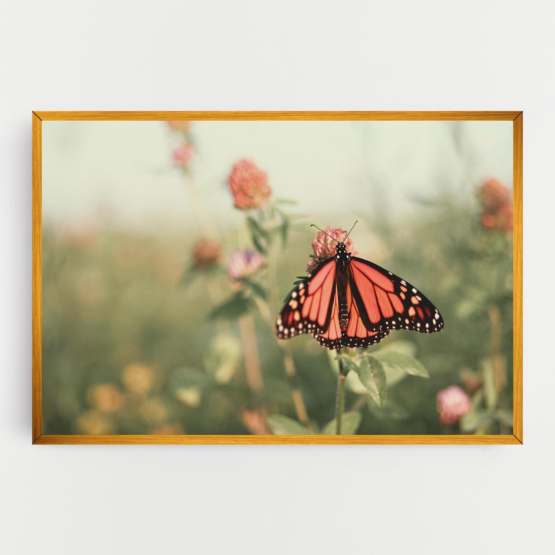 Vászonkép Light Red Butterfly mockup 0