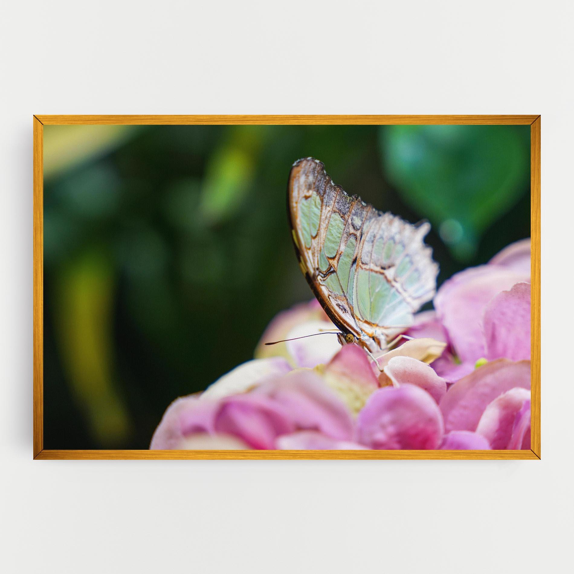 Vászonkép Nazrin Babashova DiUUmQMFWys Unsplash mockup 0