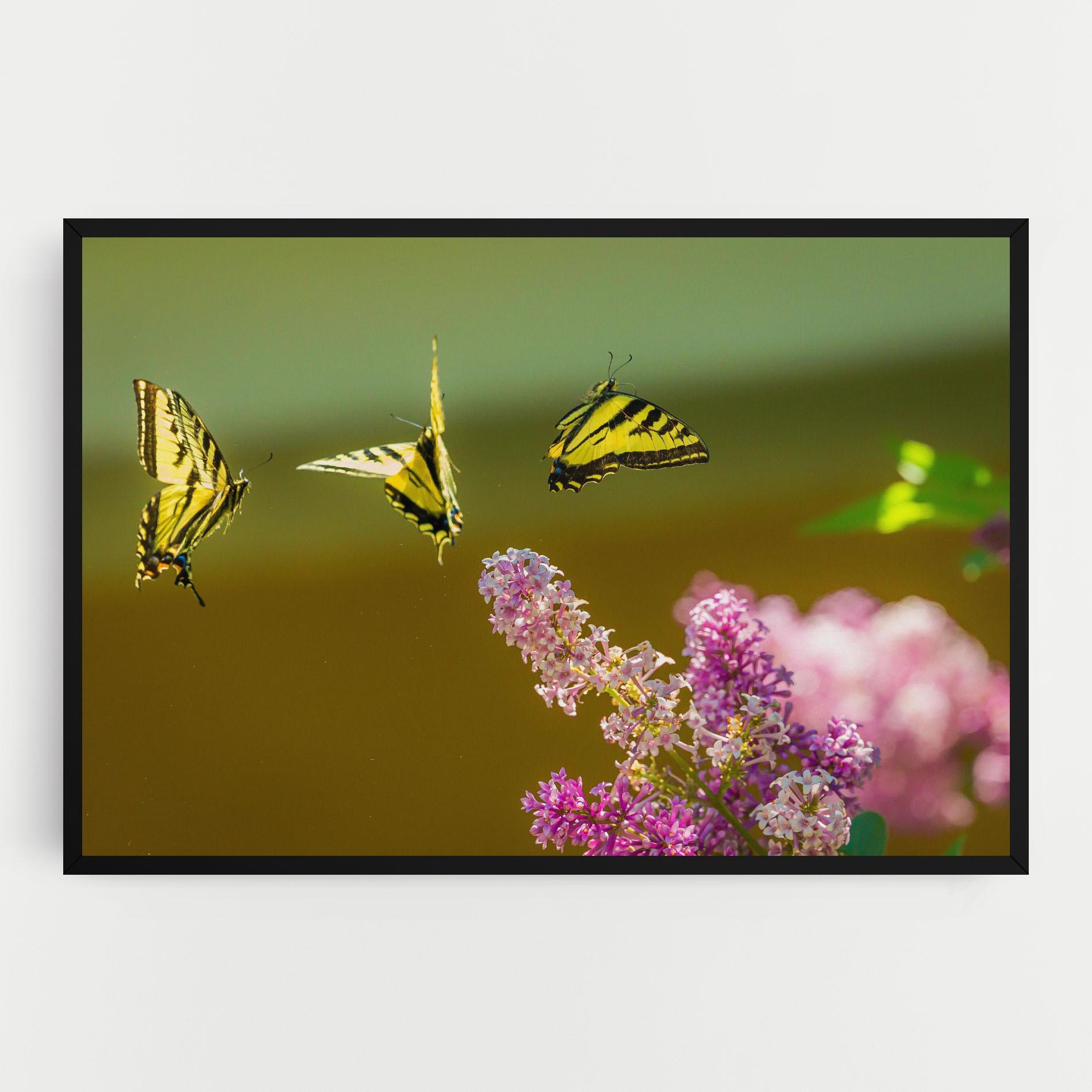 Vászonkép 3 Yellow Butterflies mockup 0