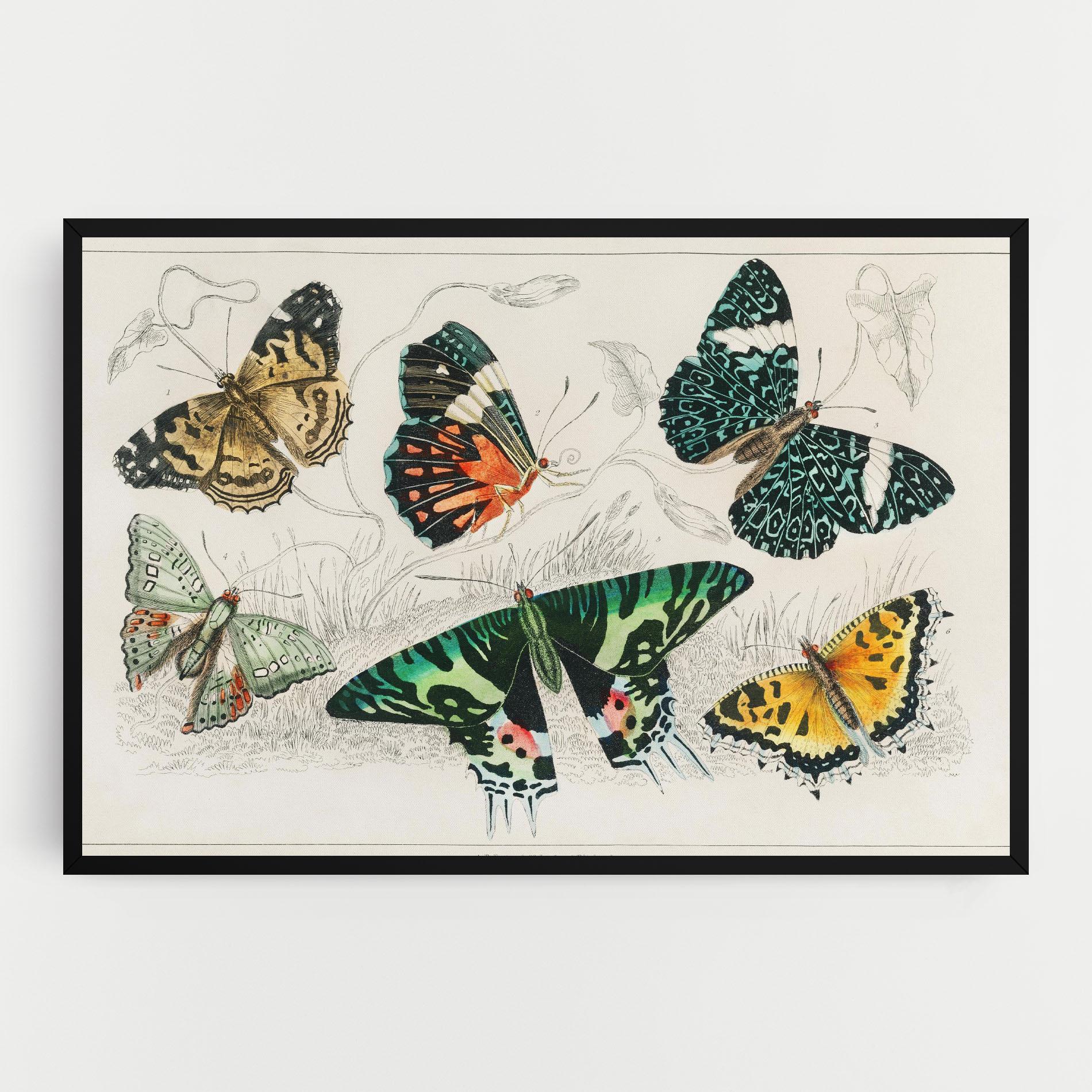 Vászonkép Butterfly Art mockup 0