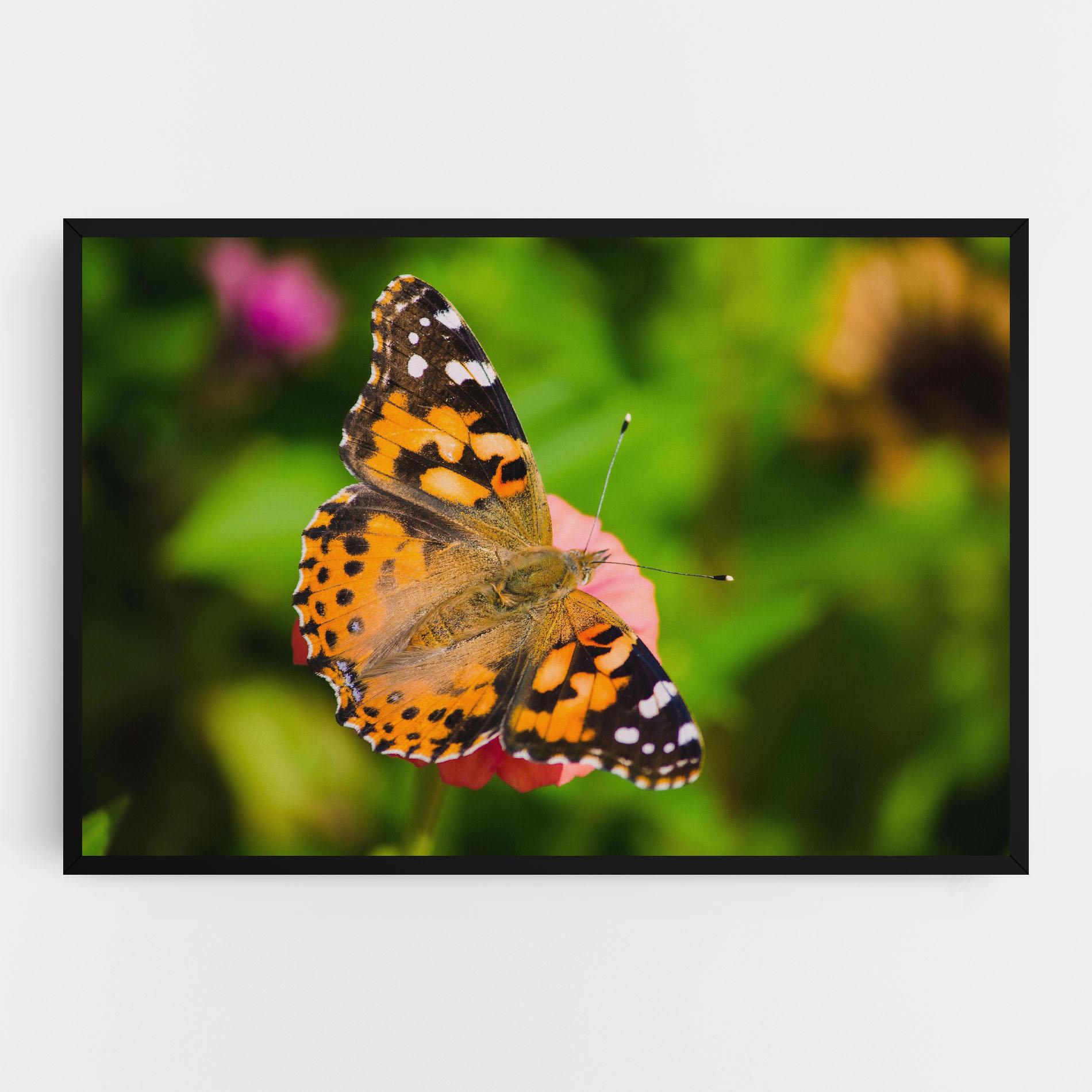 Vászonkép Butterfly On Flower mockup 0