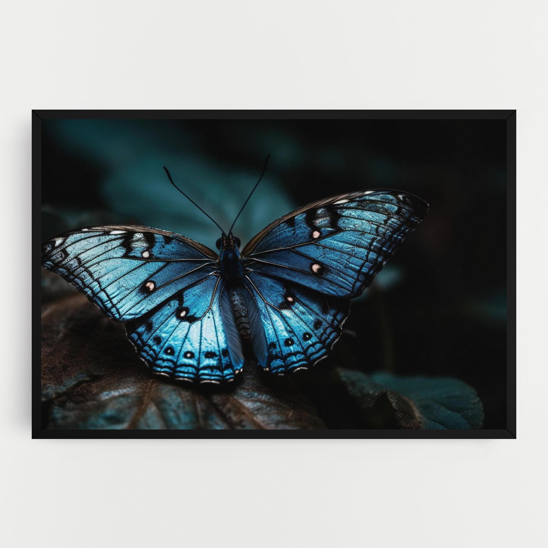 Vászonkép Dark Blue Buterfly mockup 0