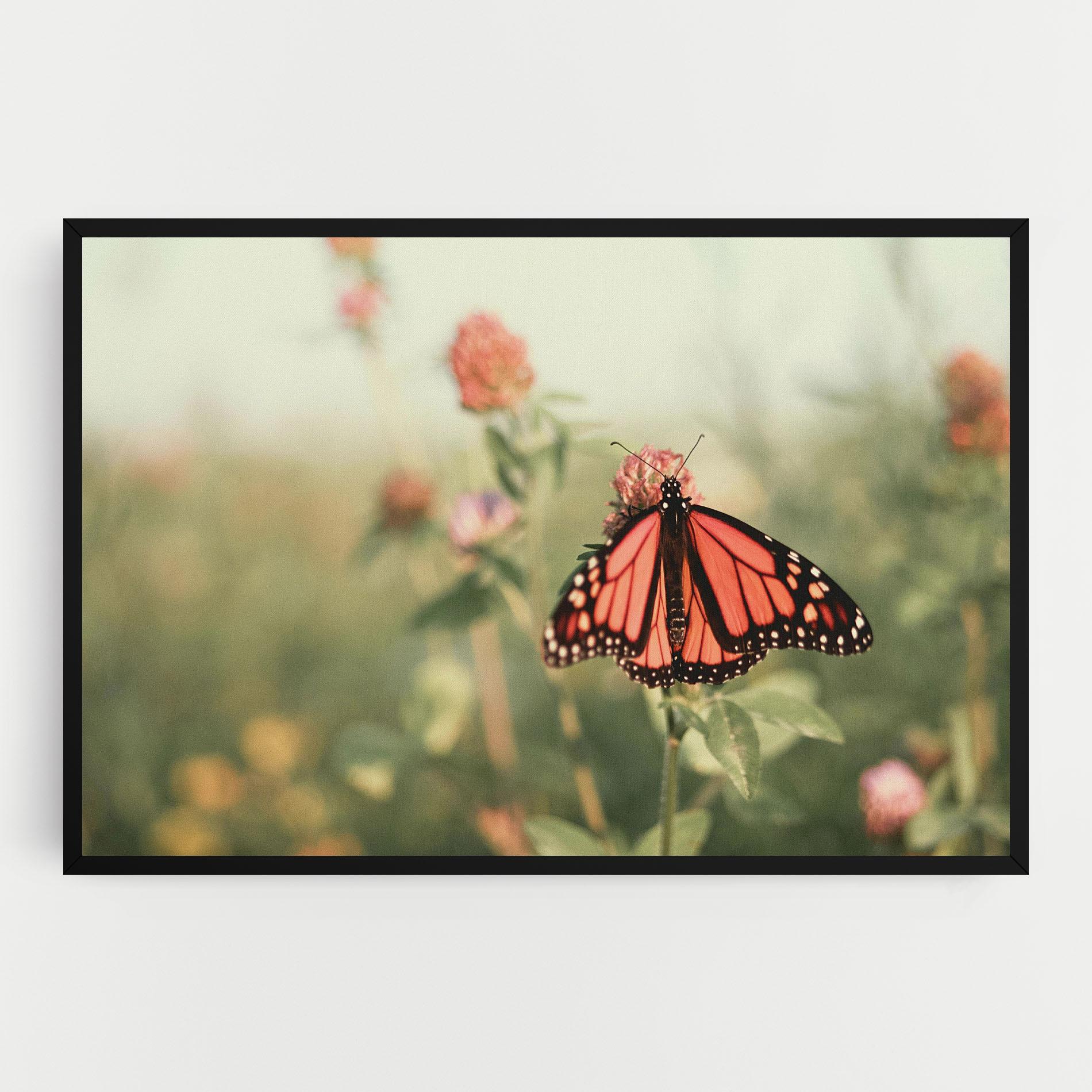 Vászonkép Light Red Butterfly mockup 0