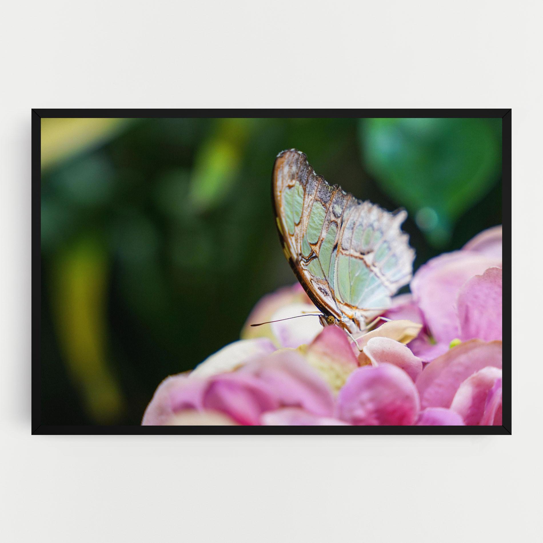 Vászonkép Nazrin Babashova DiUUmQMFWys Unsplash mockup 0