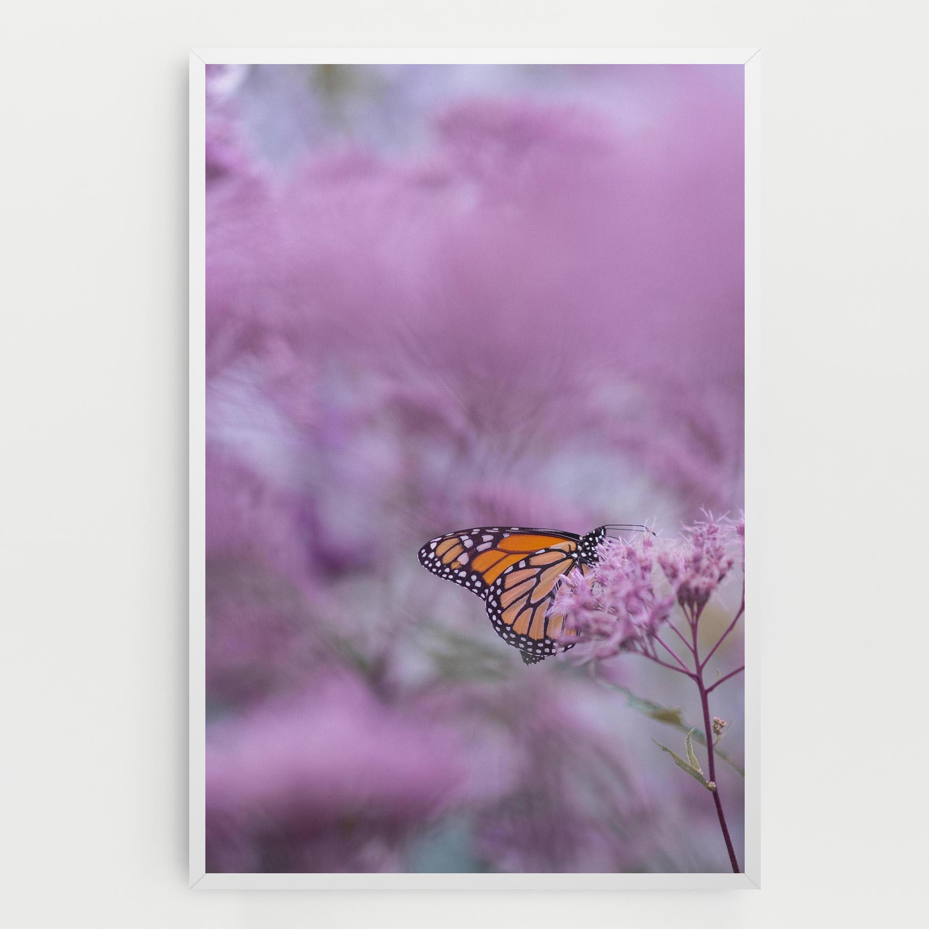 Vászonkép Purple Flower Butterfly mockup 0
