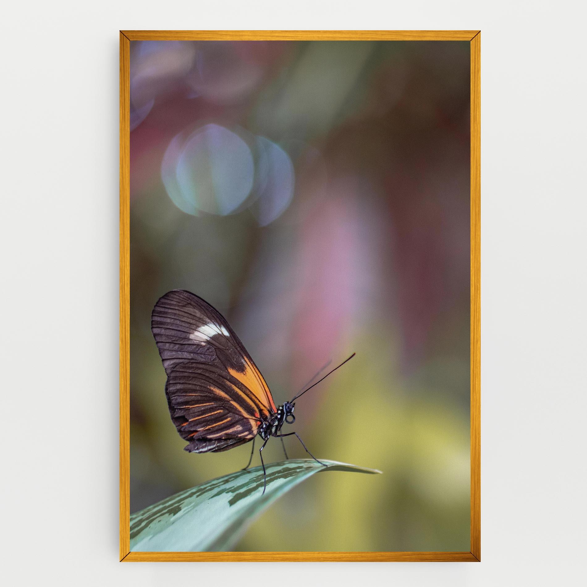 Vászonkép Dark Purple Butterfly mockup 0