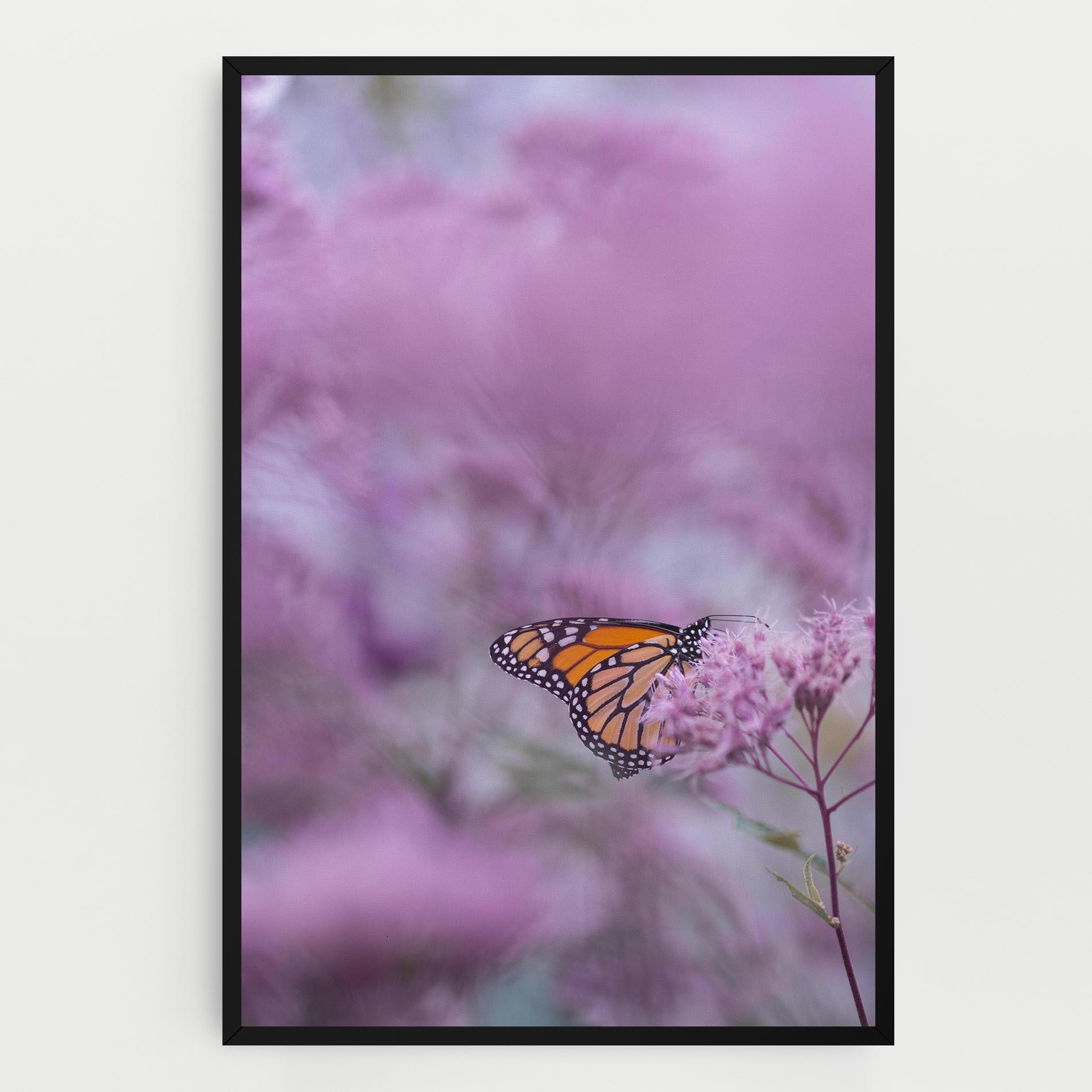Vászonkép Purple Flower Butterfly mockup 0