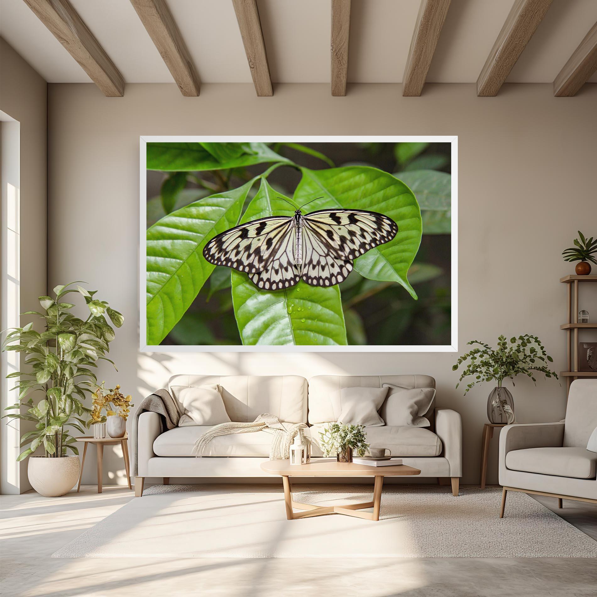 Vászonkép Beautiful White Butterfly mockup 6
