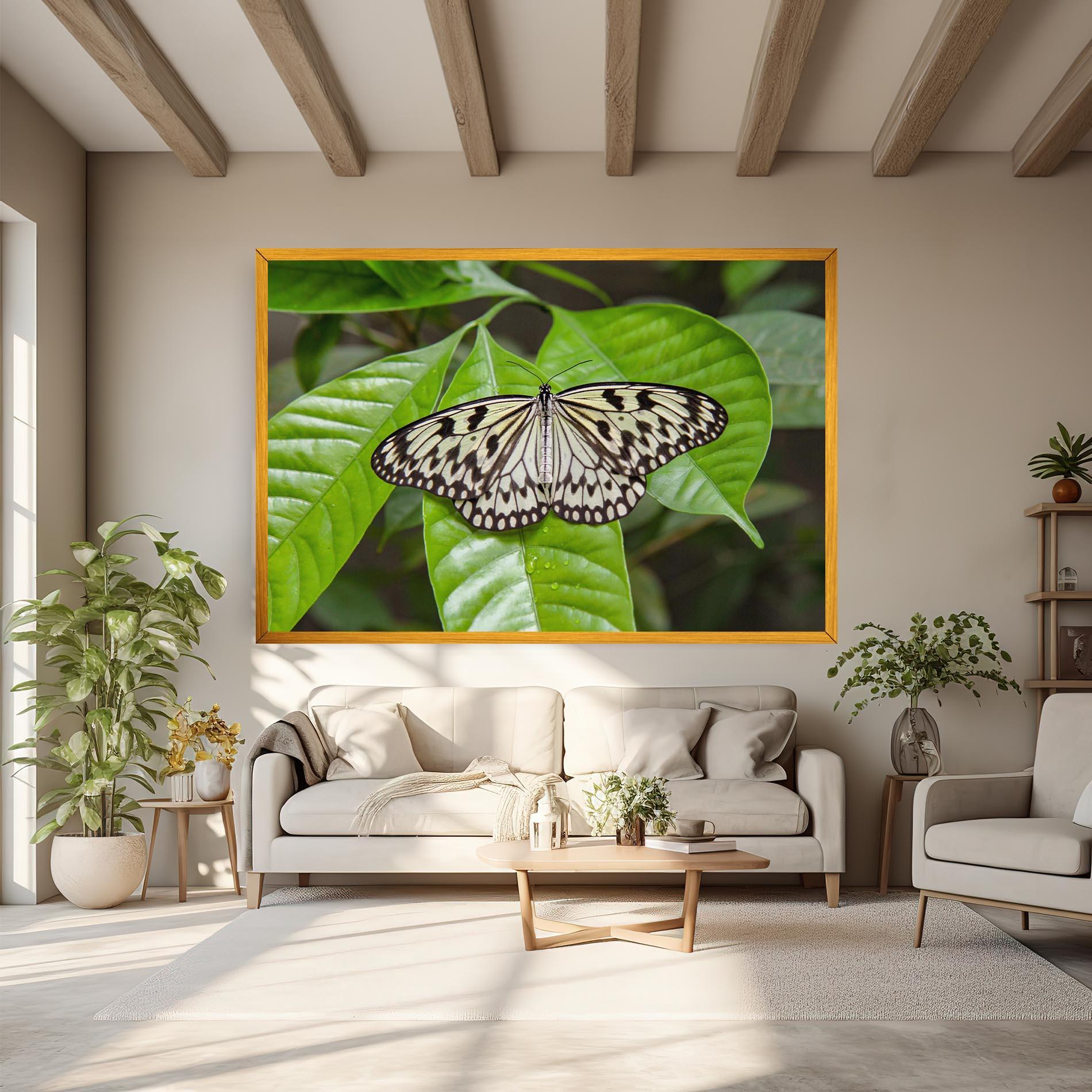 Vászonkép Beautiful White Butterfly mockup 6