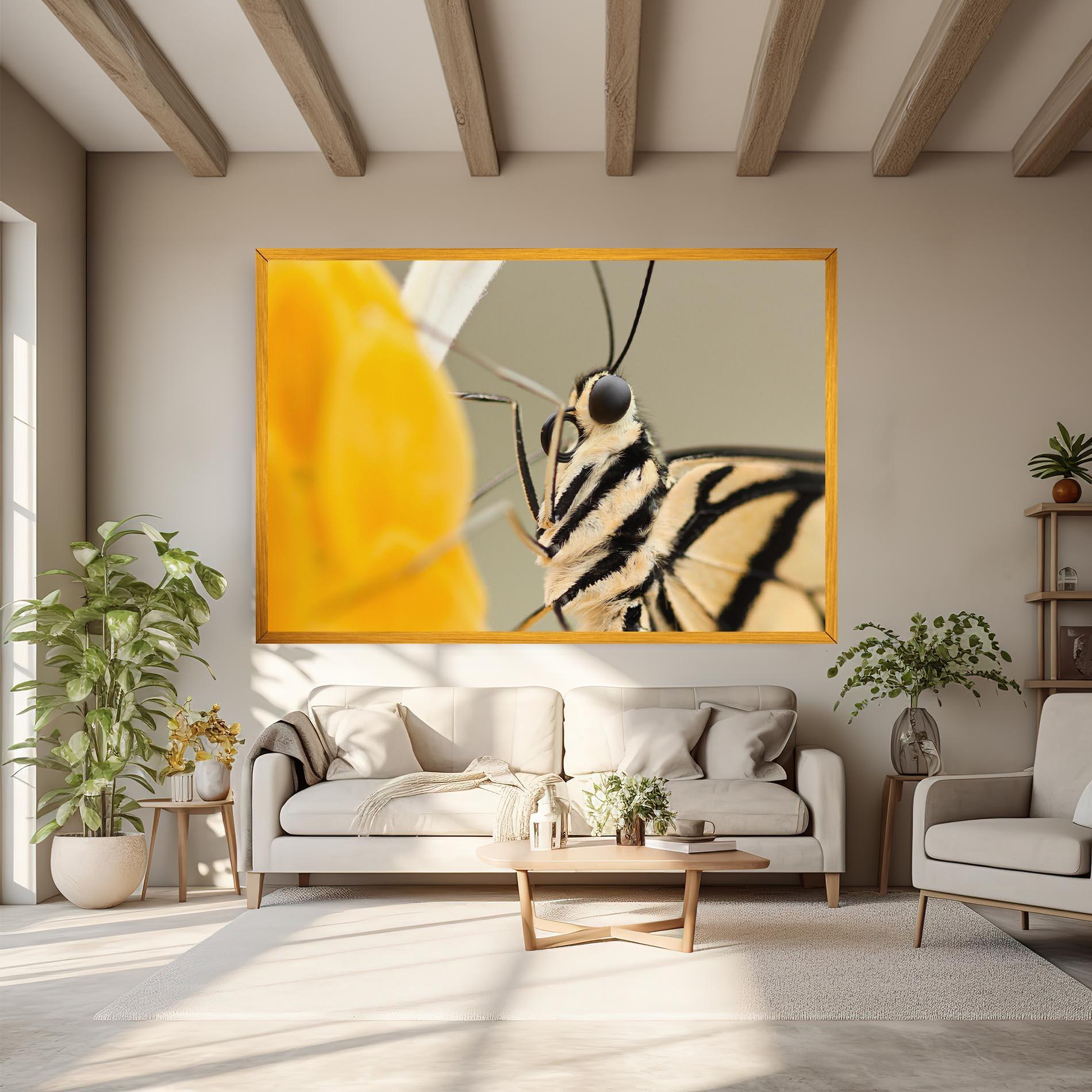 Vászonkép Close Up Cream Butterfly mockup 6