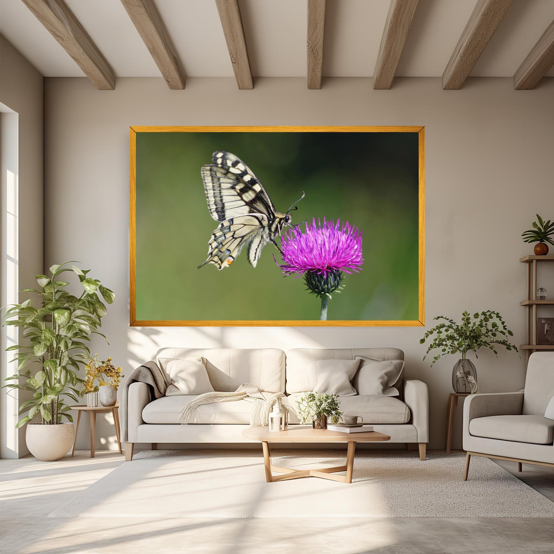 Vászonkép White Butterfly Pollen mockup 6