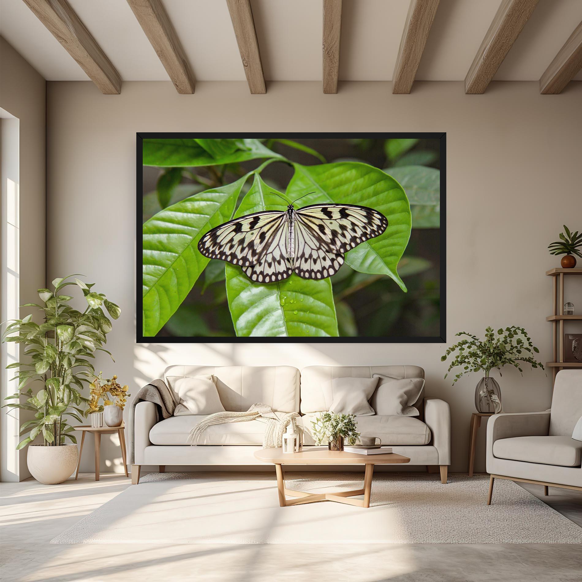 Vászonkép Beautiful White Butterfly mockup 6