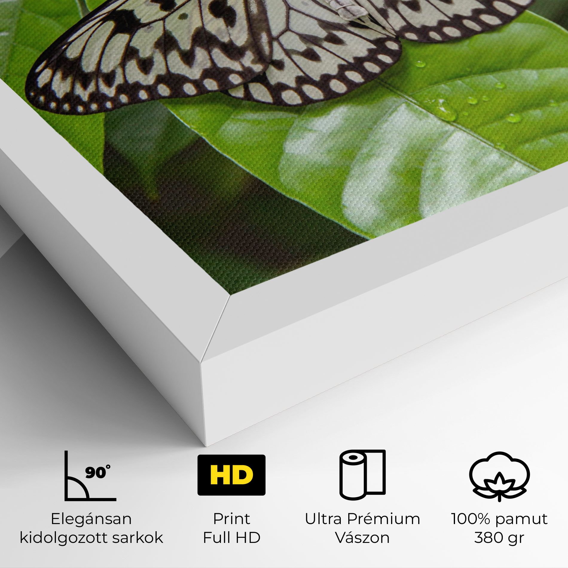 Beautiful White Butterfly mockup 4