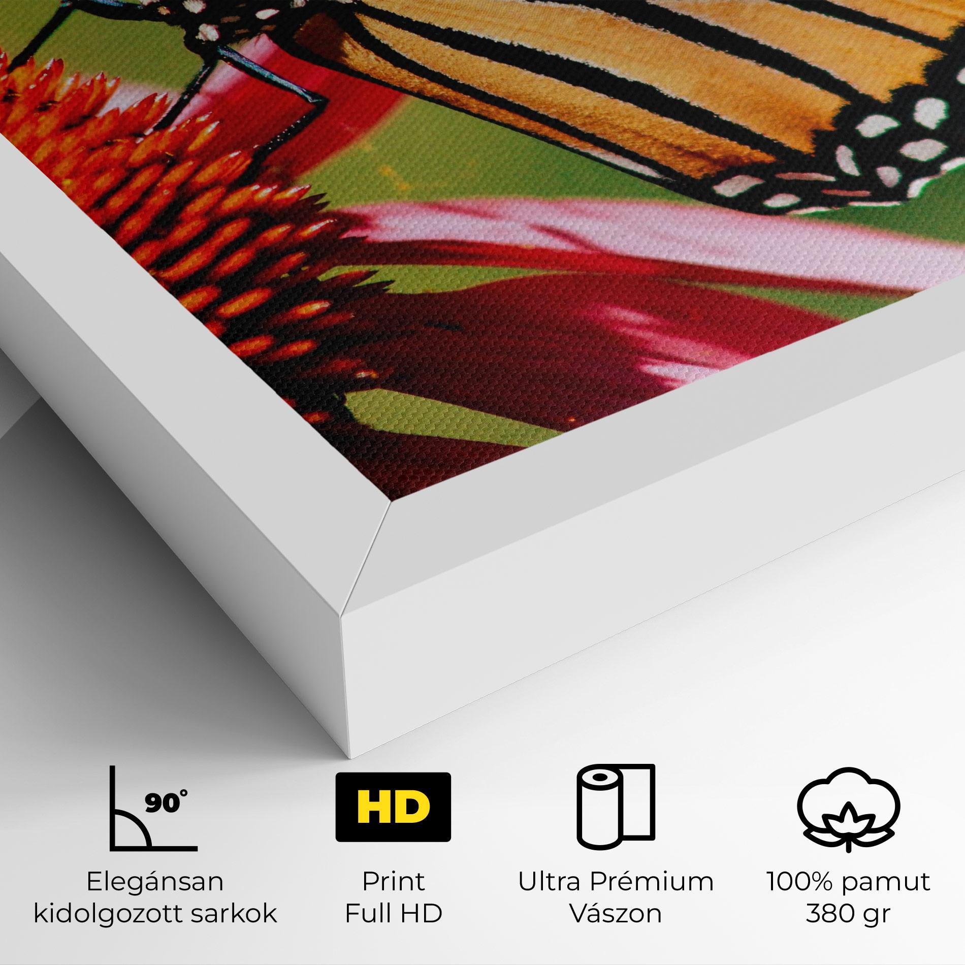 Vászonkép Big Orange Butterfly mockup 4