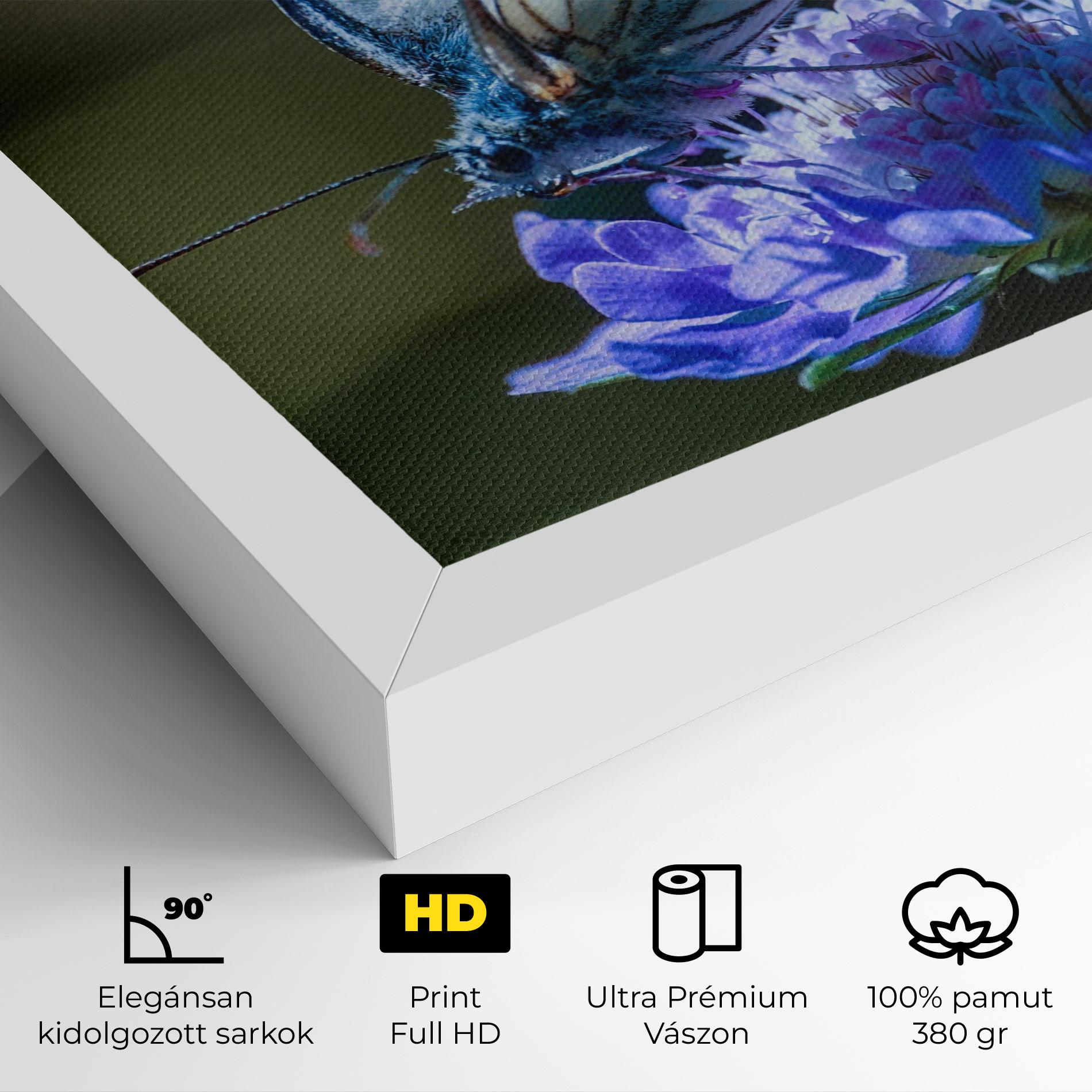 Vászonkép Blue Butterfly In Nature mockup 4