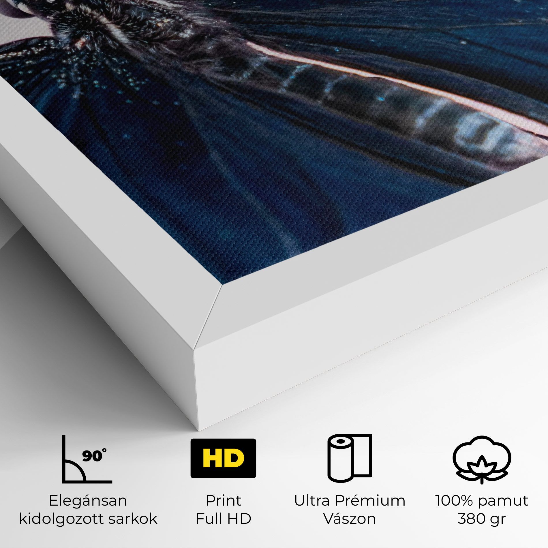 Blue Butterfly mockup 4