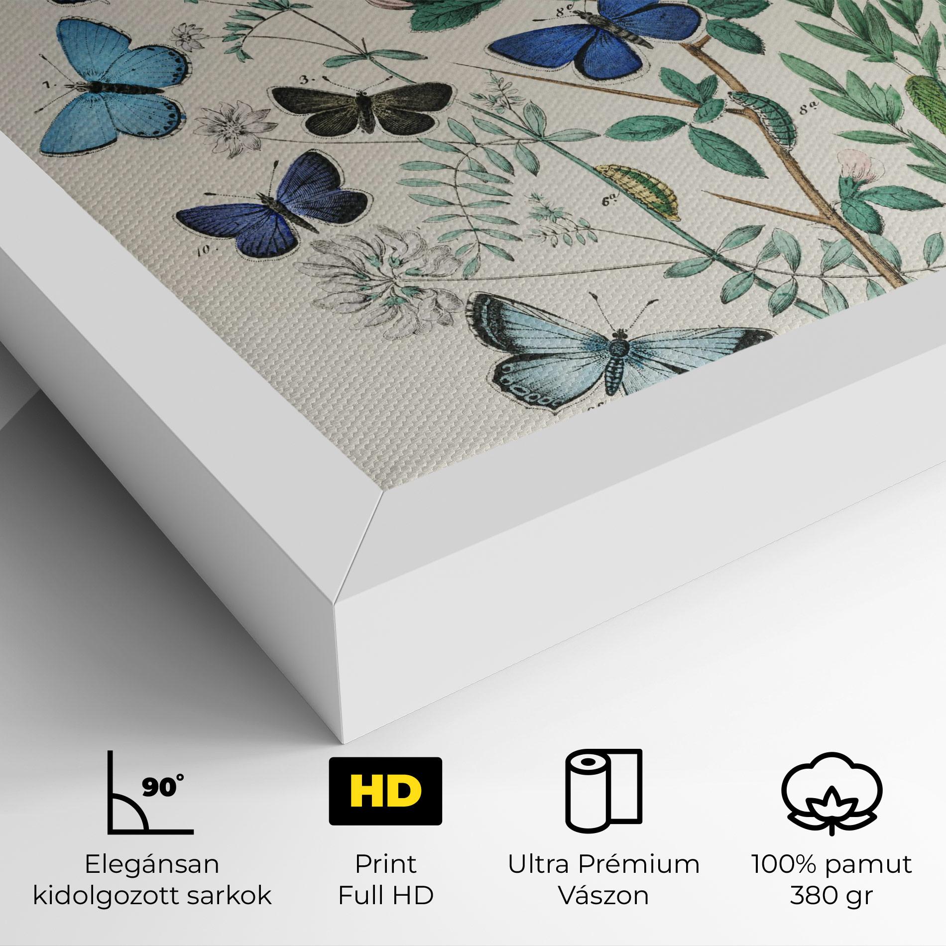 Vászonkép Blue Orange Butterflies mockup 4