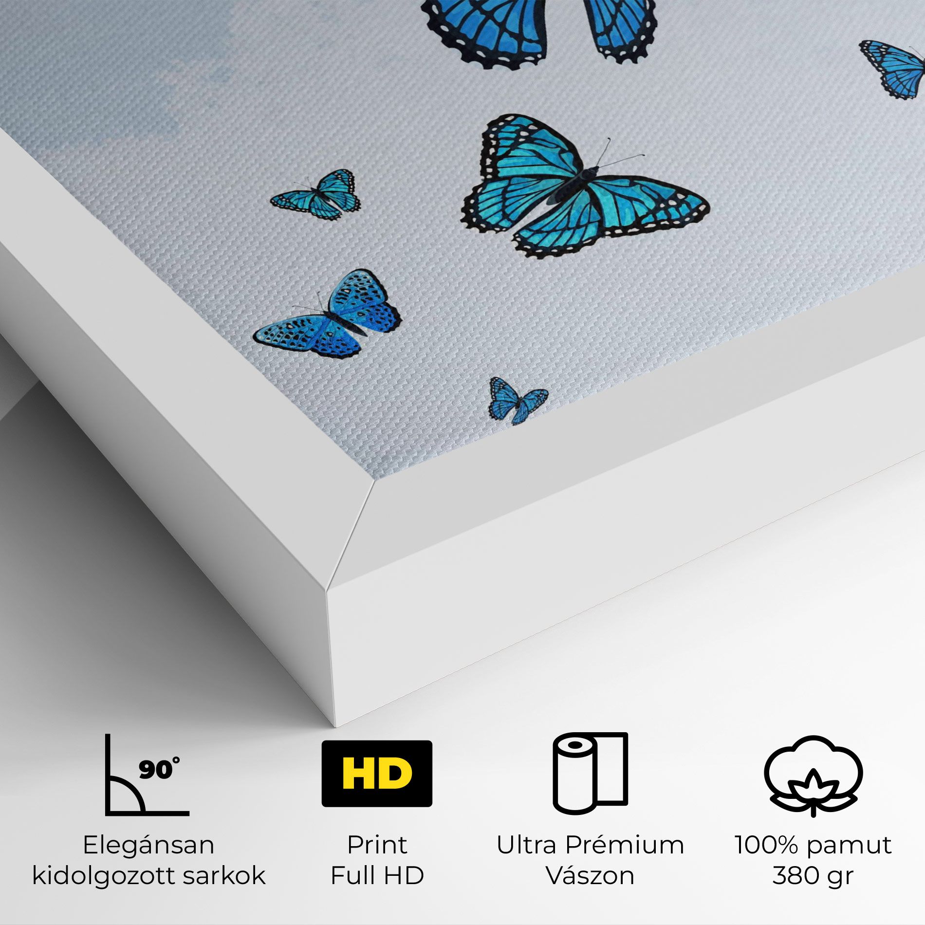 Blue Sky Butterfly mockup 4