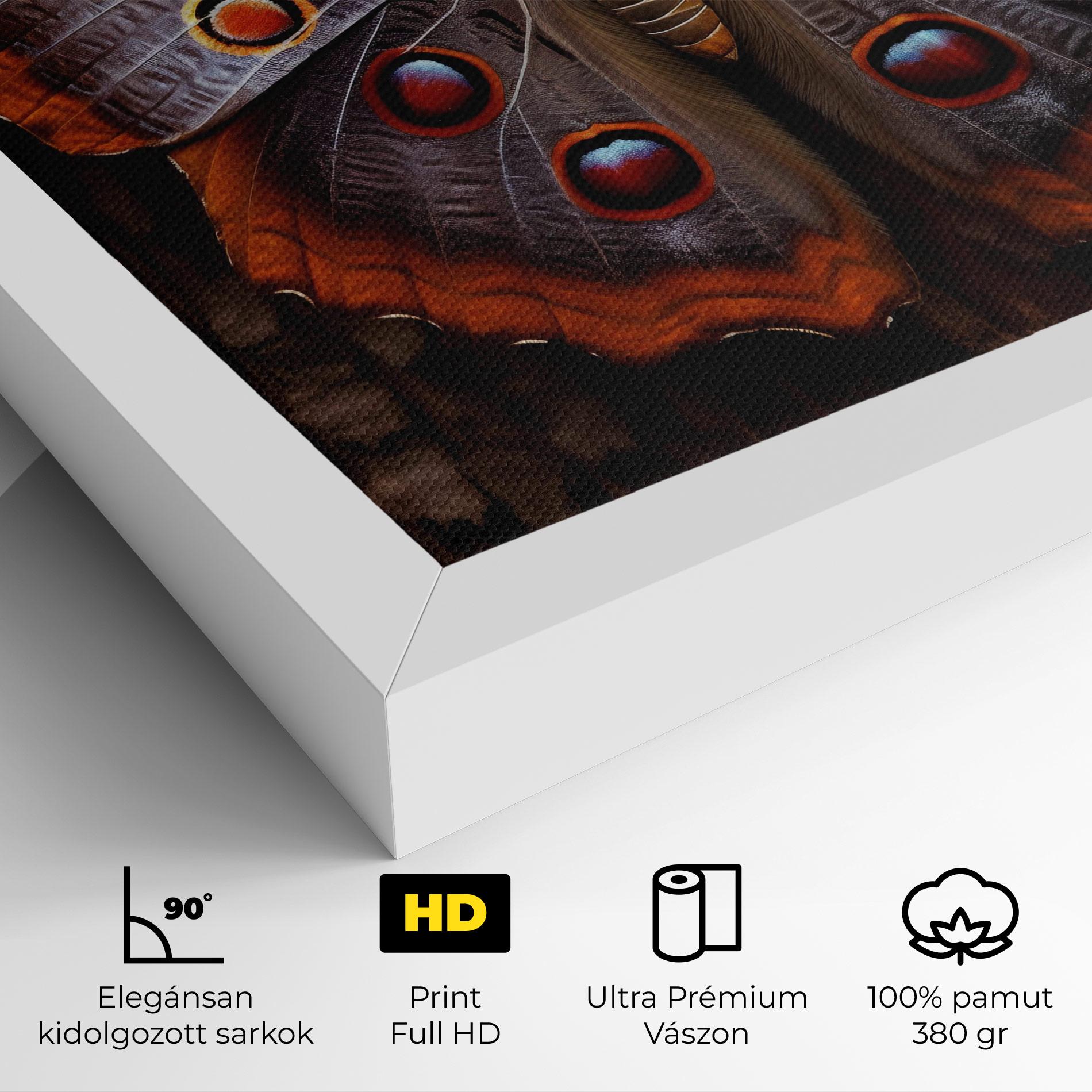 Vászonkép Brown Eyes Butterfly mockup 4