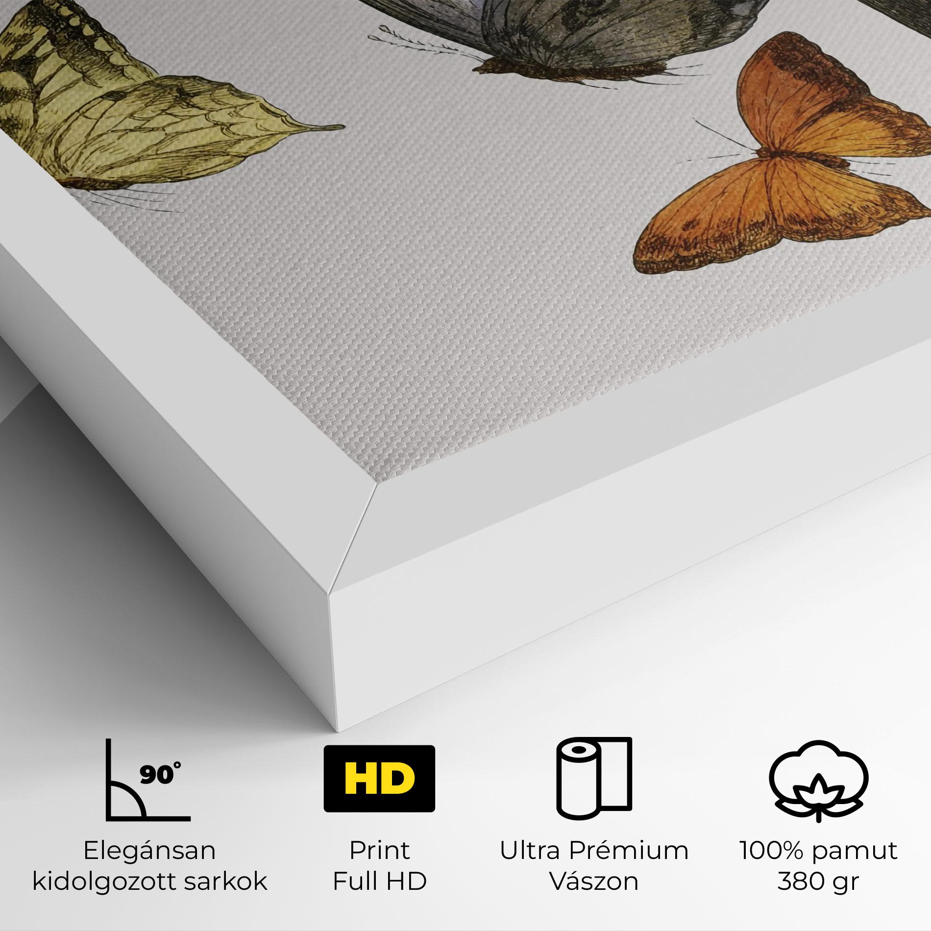 Vászonkép Butterfly Floating mockup 4