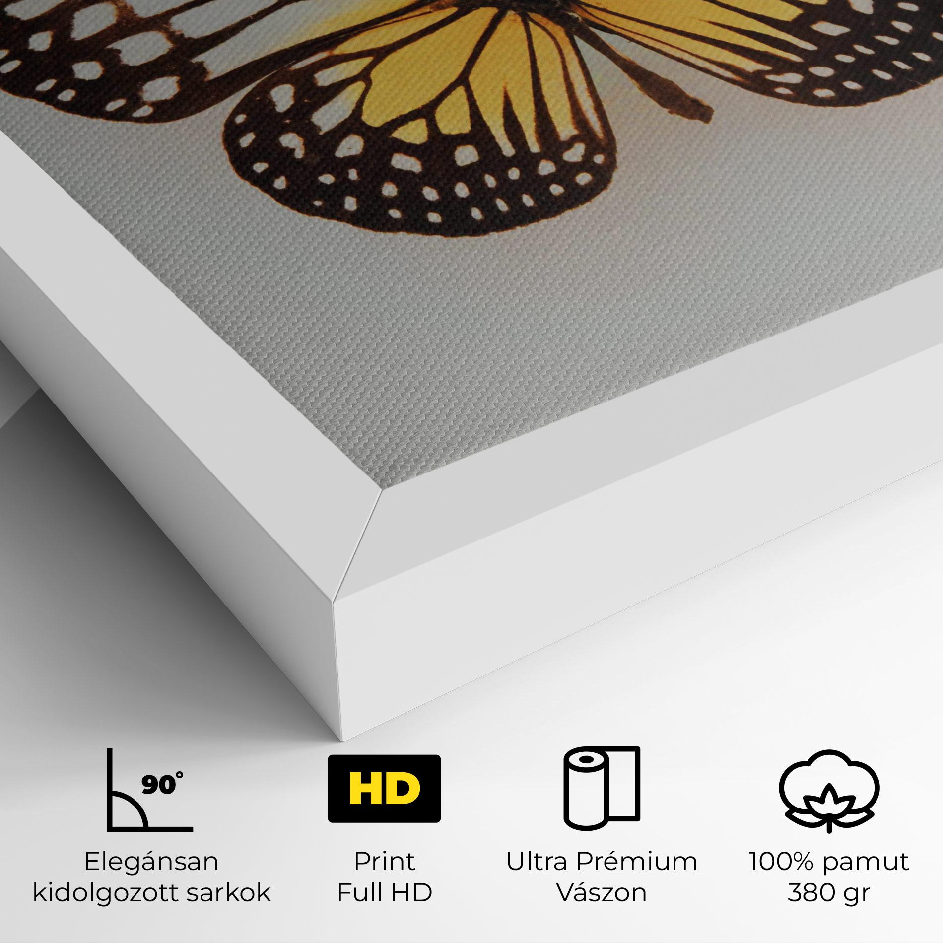Vászonkép Butterfly On Grey mockup 4
