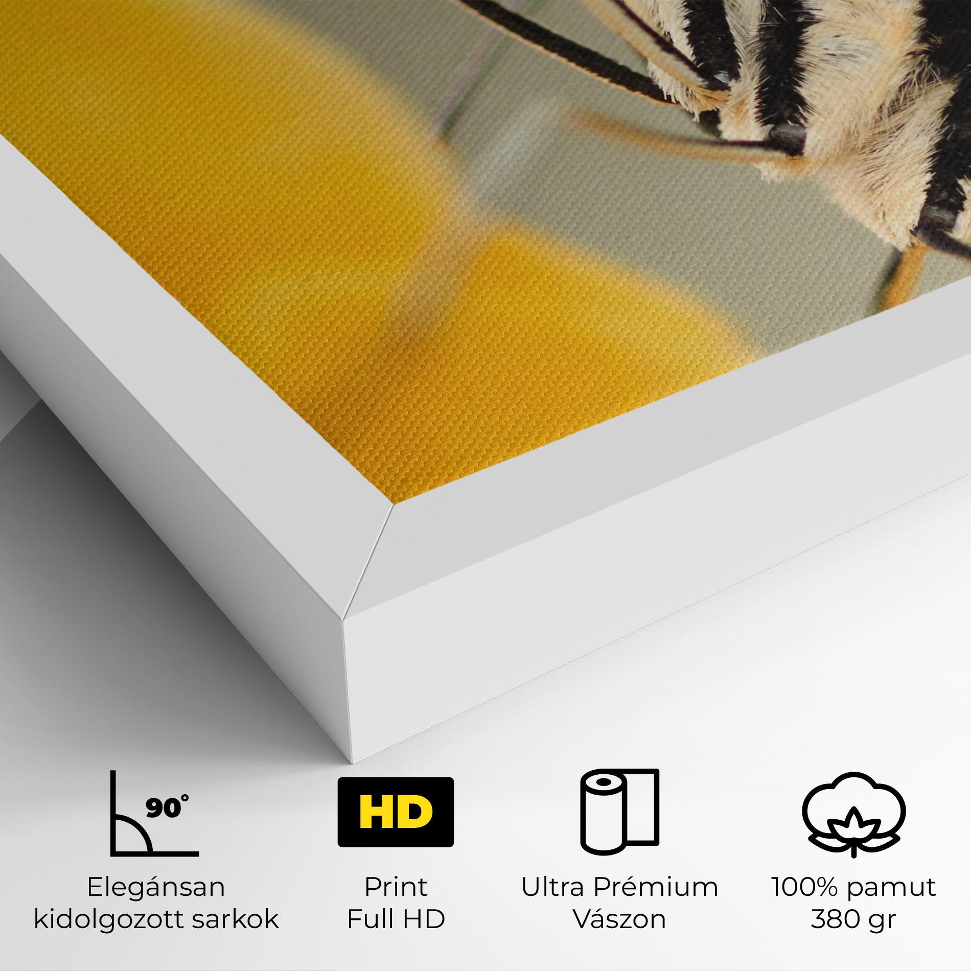 Vászonkép Close Up Cream Butterfly mockup 4