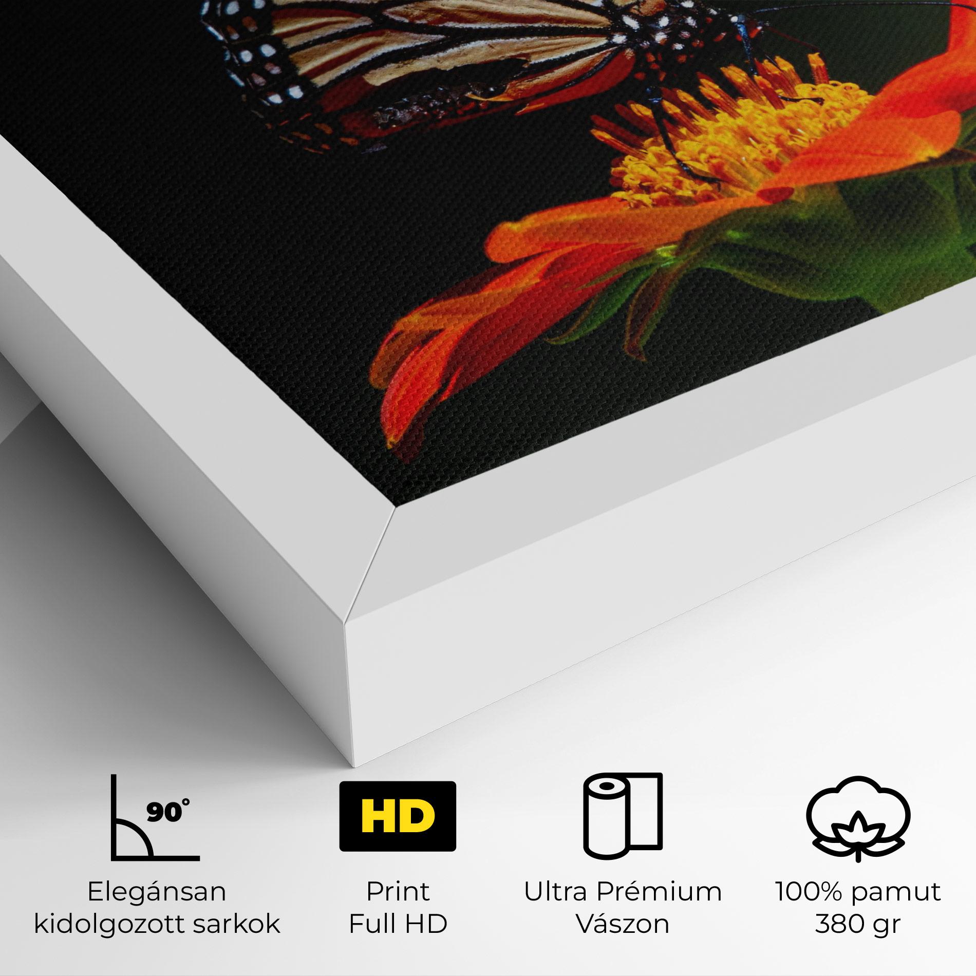 Vászonkép Dark Orange Butterfy mockup 4