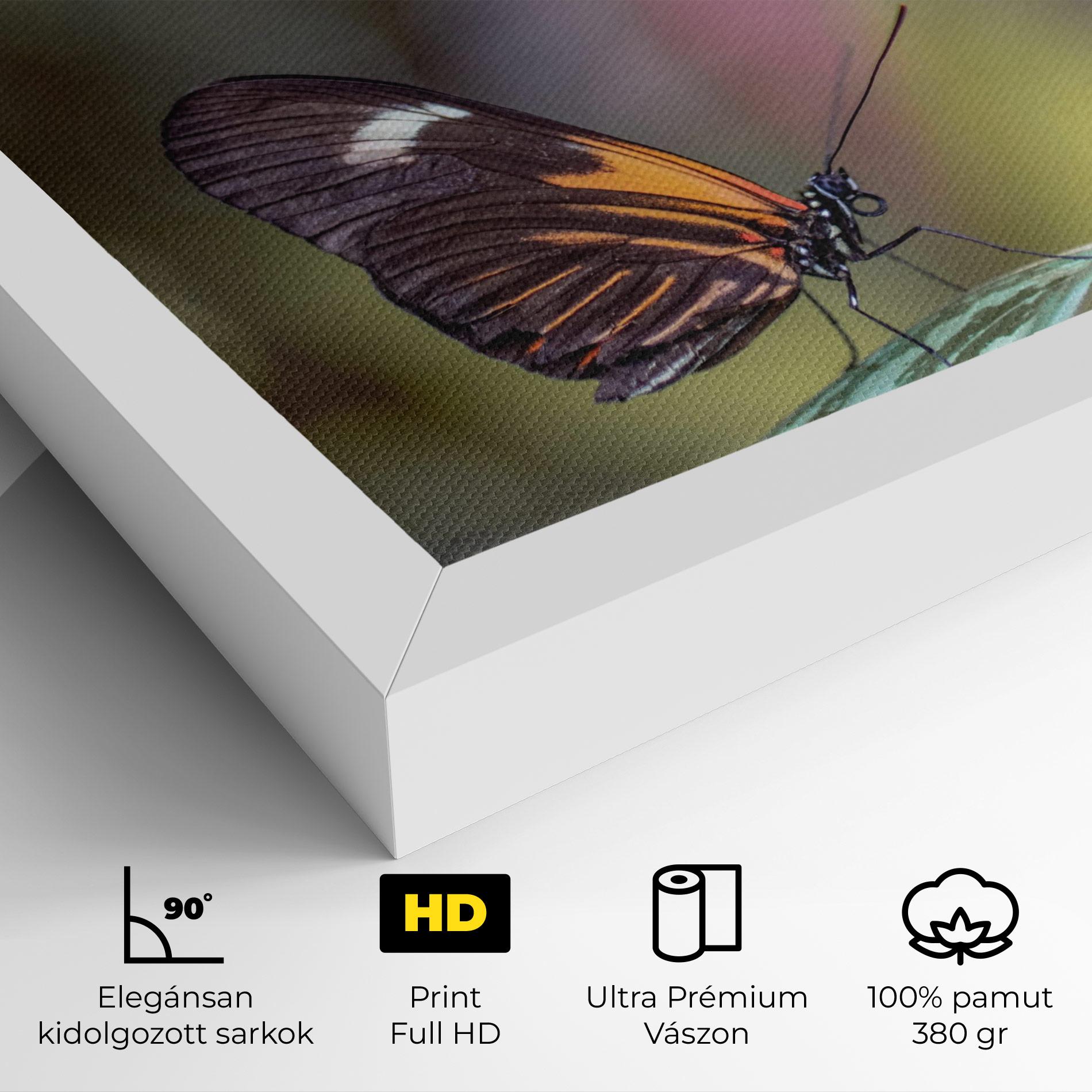 Vászonkép Dark Purple Butterfly mockup 4