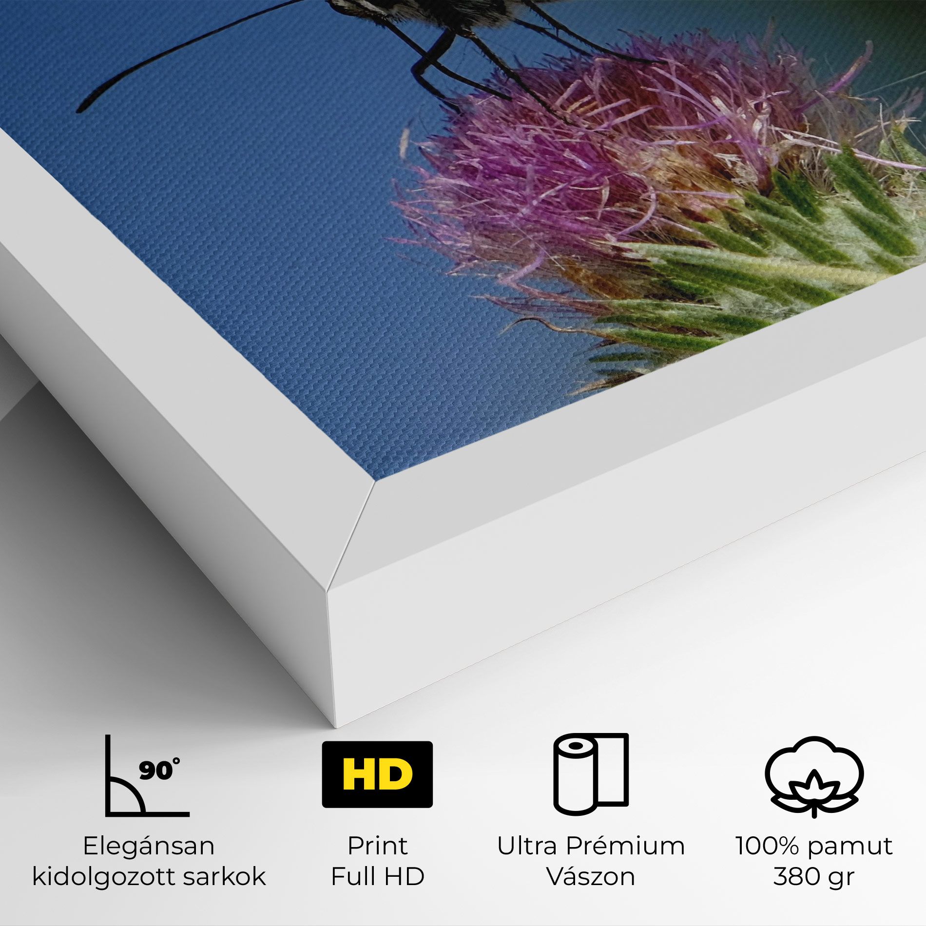 Grey White Butterfly mockup 4