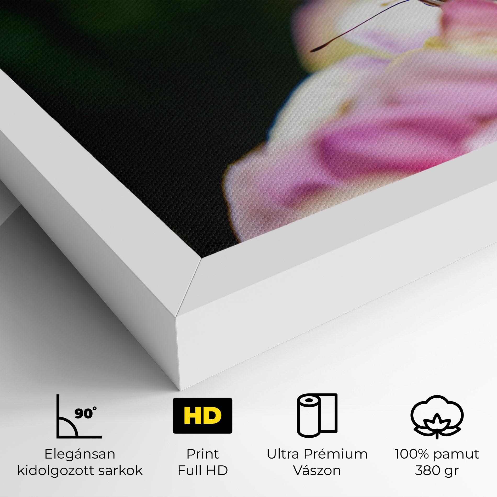 Vászonkép Nazrin Babashova DiUUmQMFWys Unsplash mockup 4