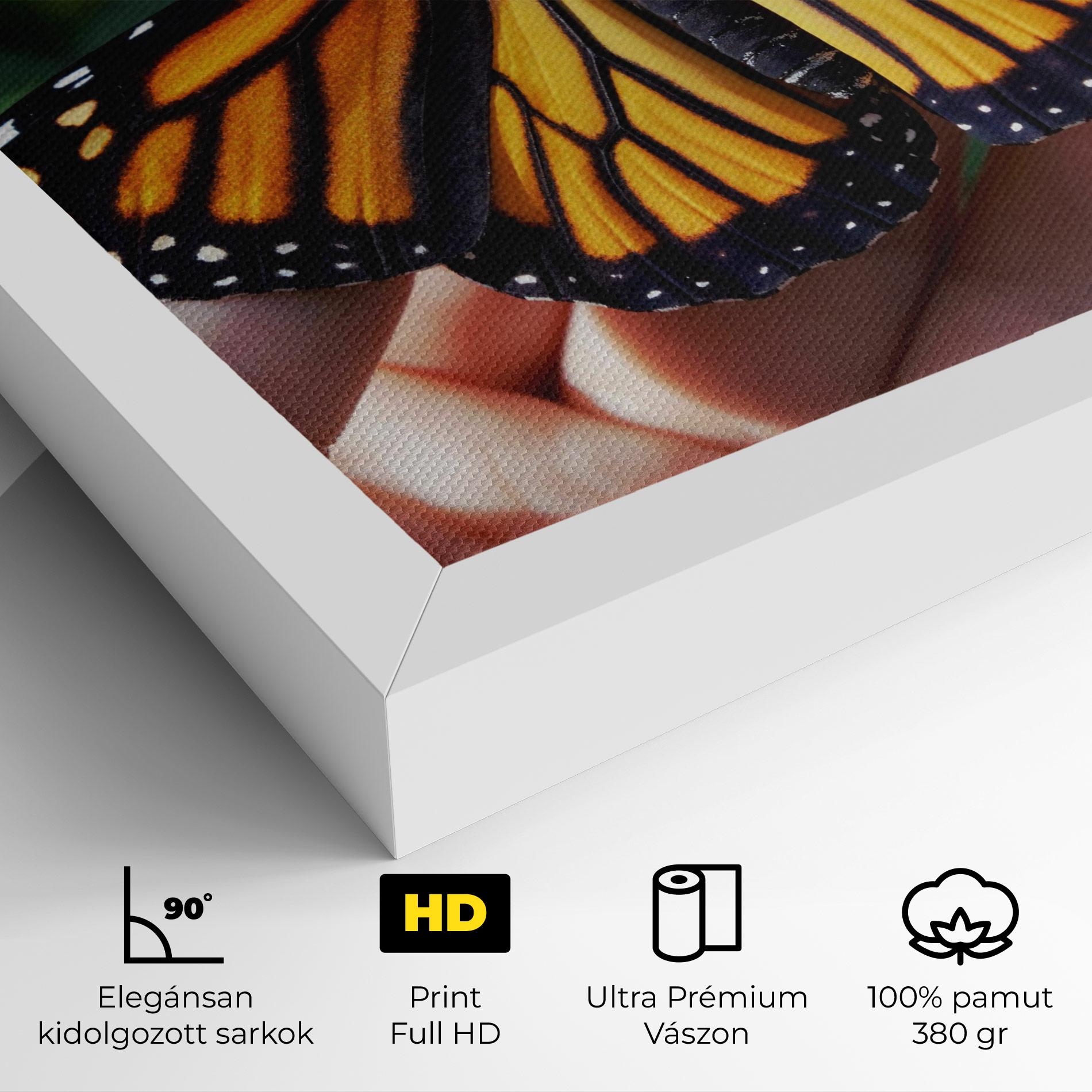 Vászonkép Open Orange Butterfly mockup 4