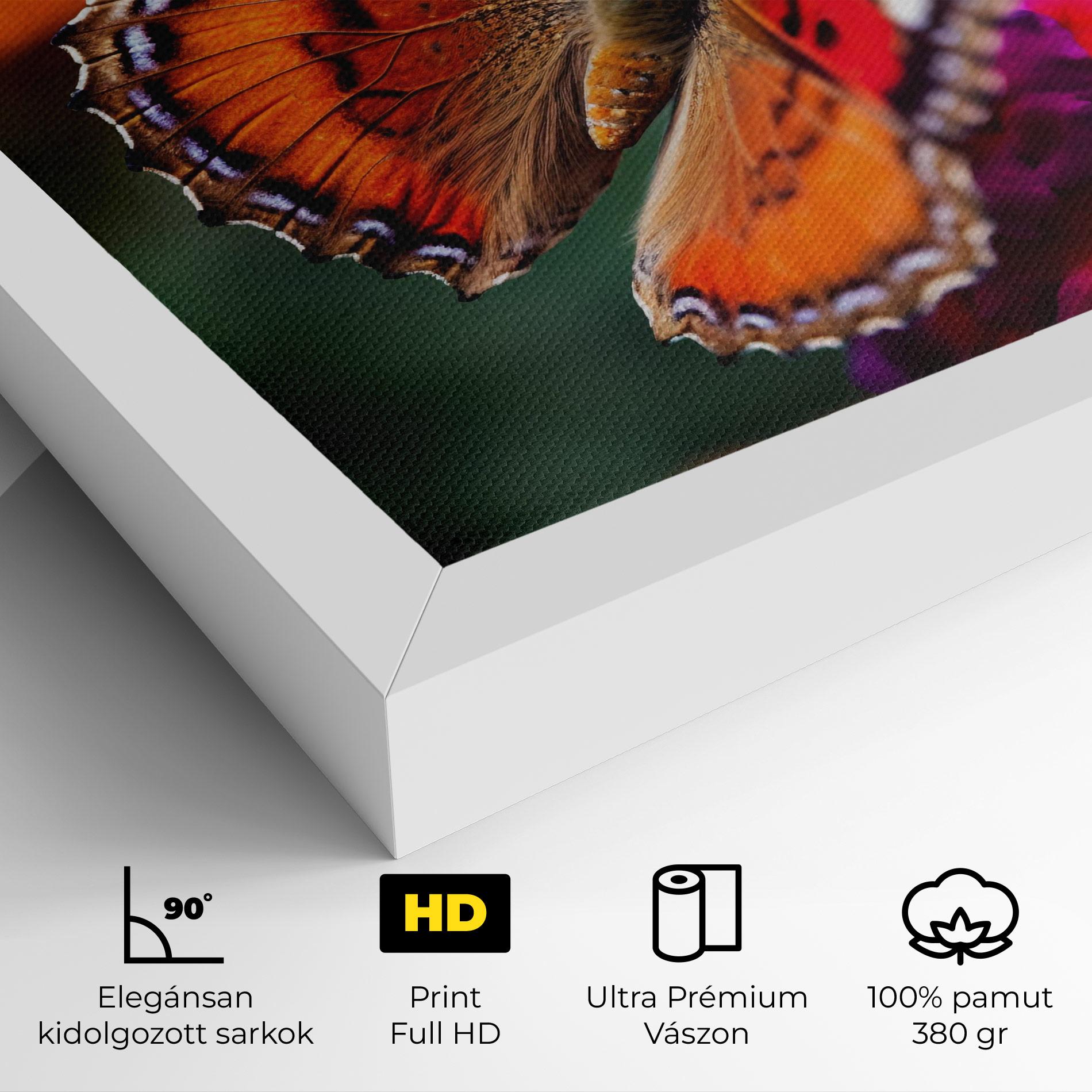 Vászonkép Red Blue Butterfly mockup 4