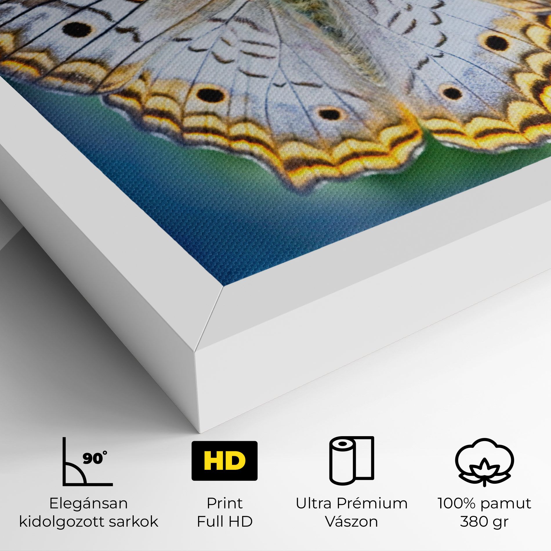 Yellow Grey Butterfly mockup 4