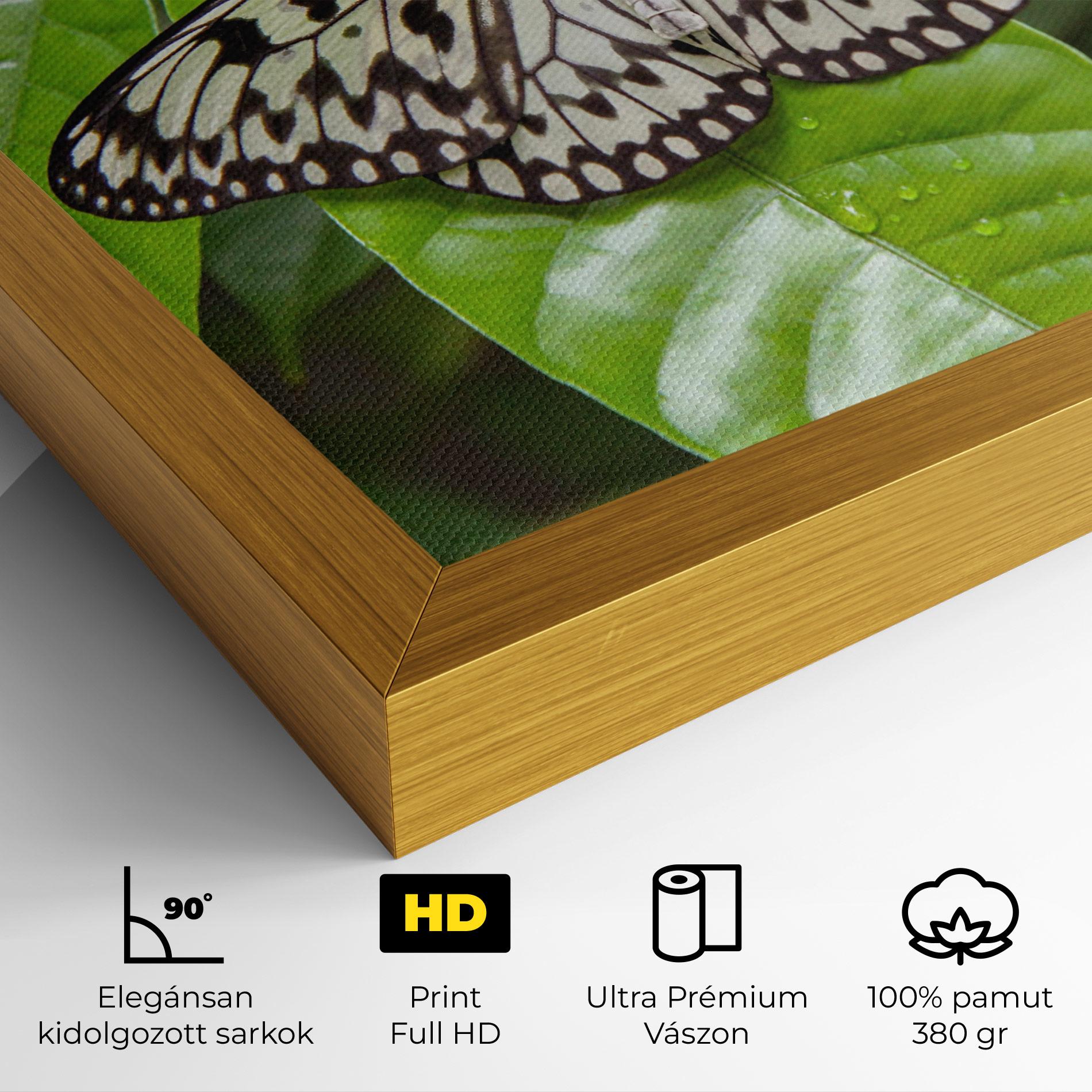 Vászonkép Beautiful White Butterfly mockup 4