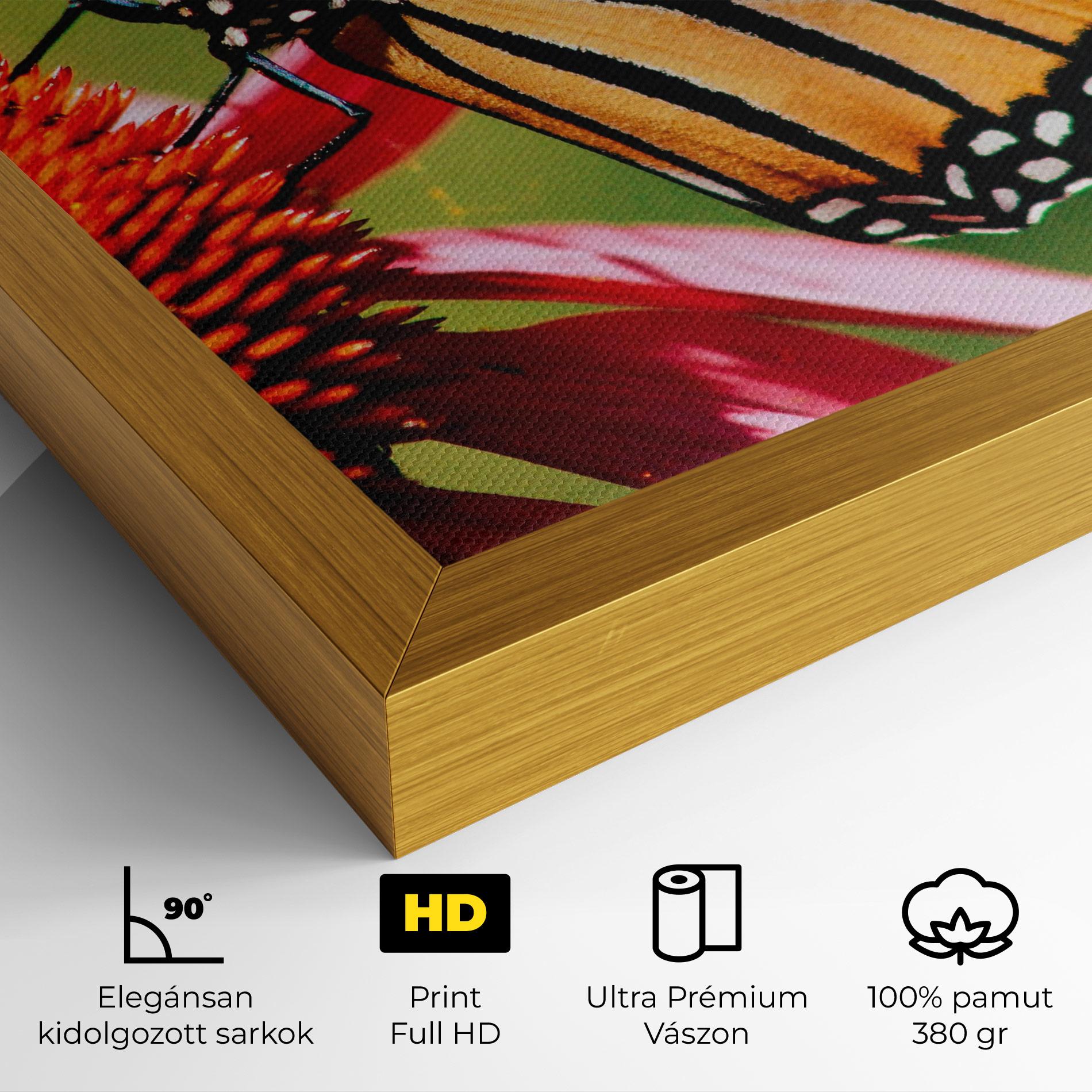Vászonkép Big Orange Butterfly mockup 4