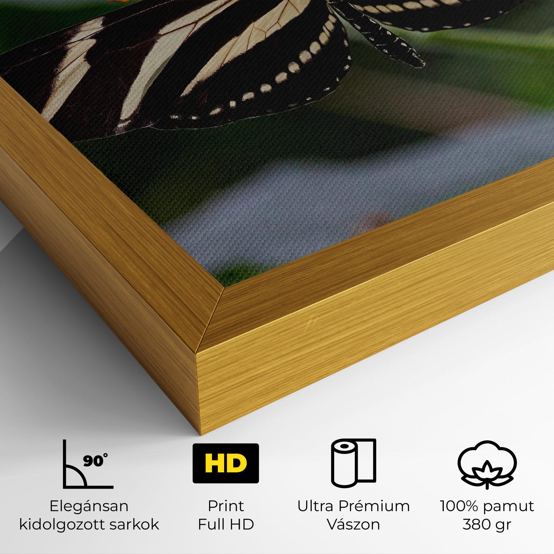 Vászonkép Big Wings Butterfly mockup 4