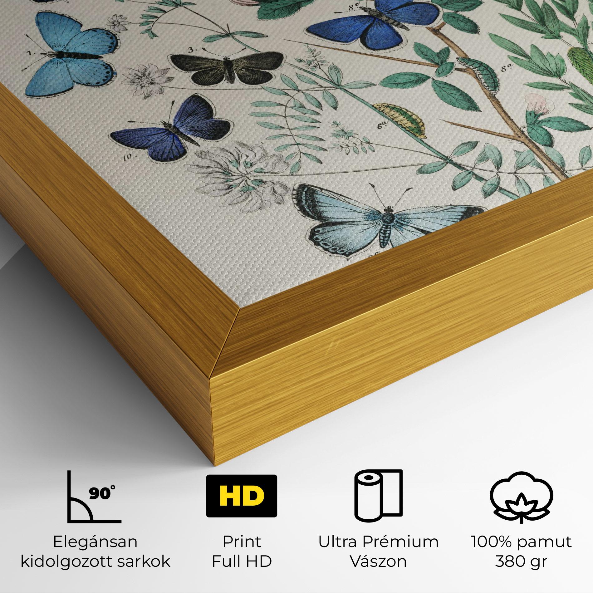 Vászonkép Blue Orange Butterflies mockup 4