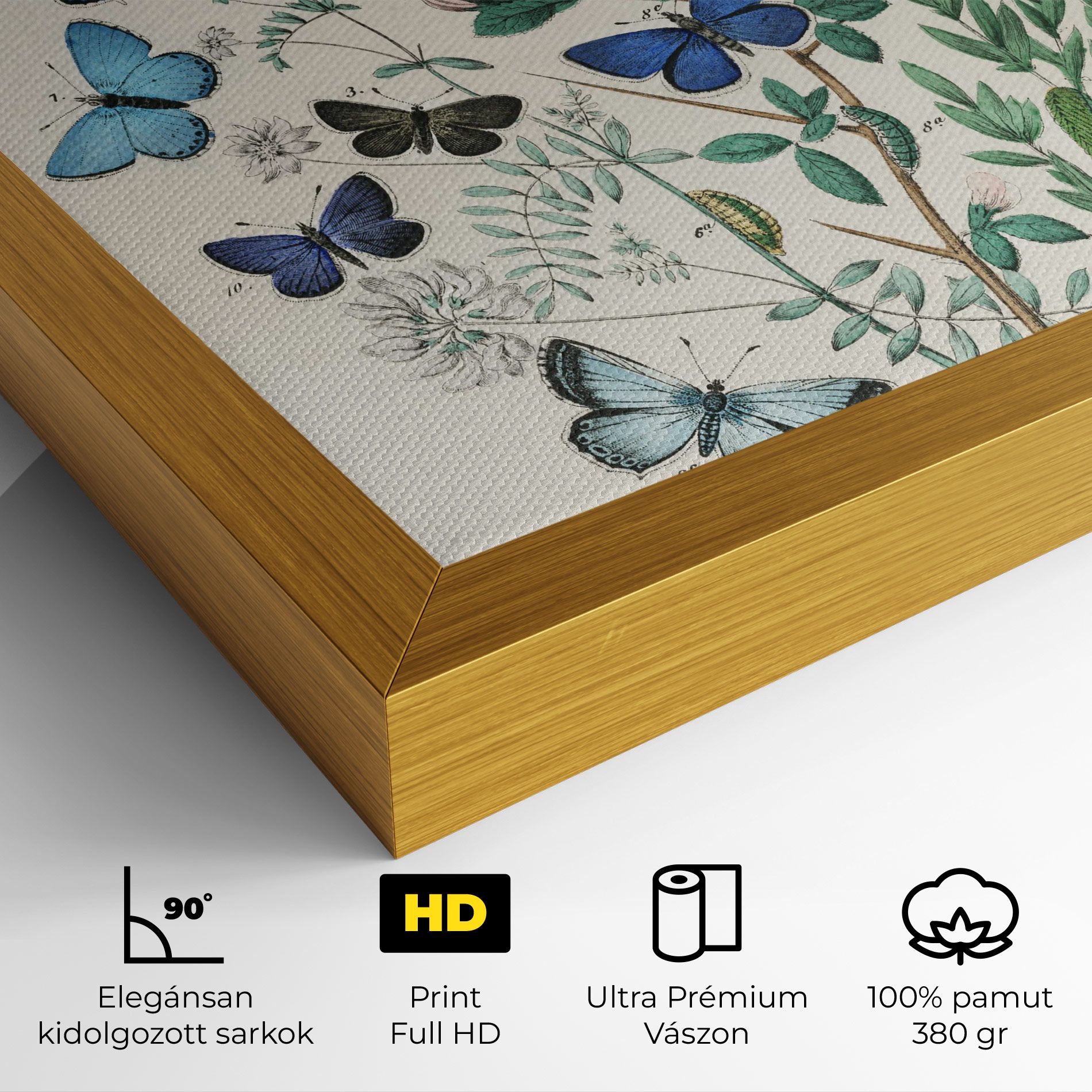 Blue Orange Butterflies mockup 4